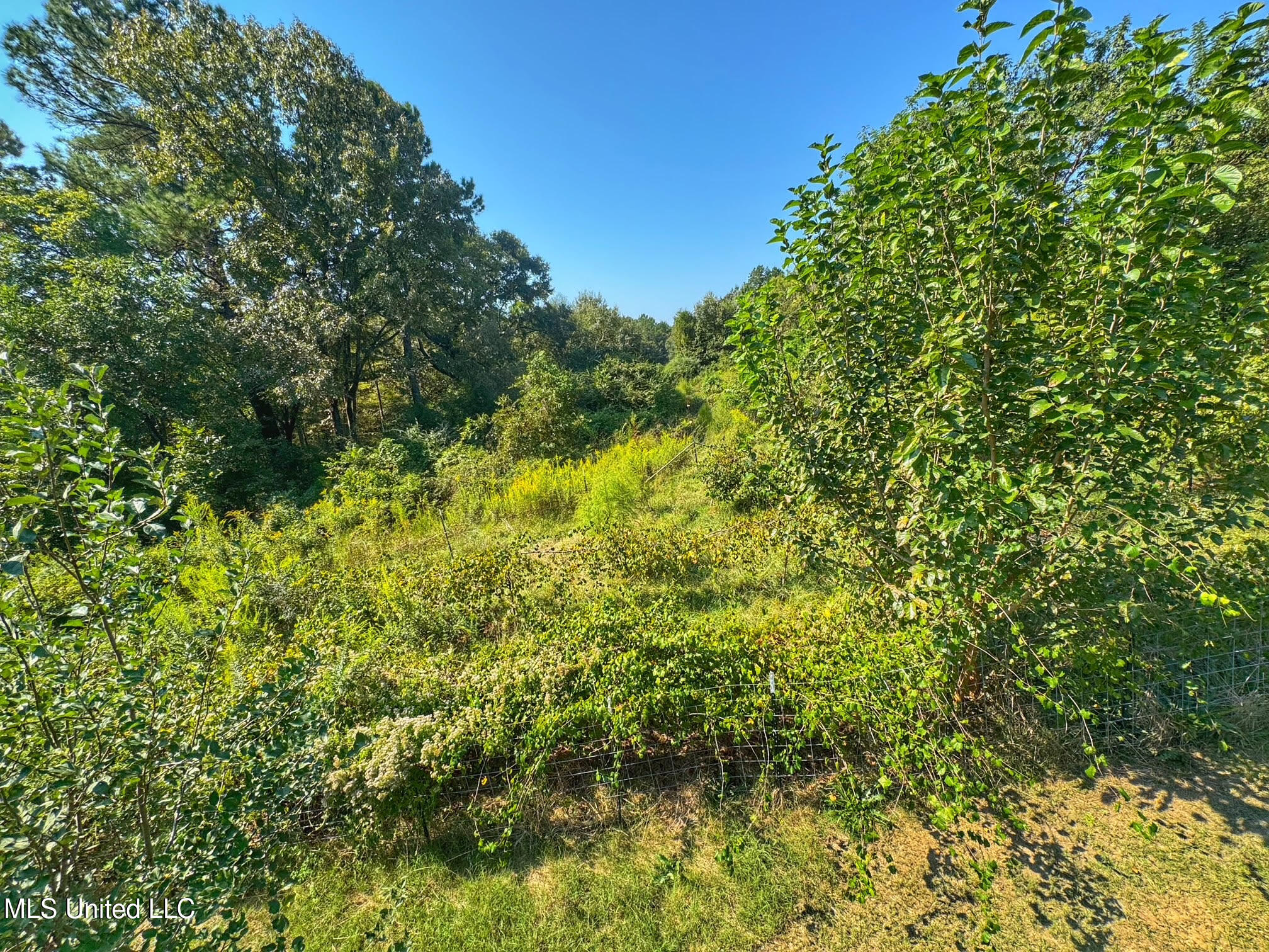 1541 Frank Hall Road Property Photo 30