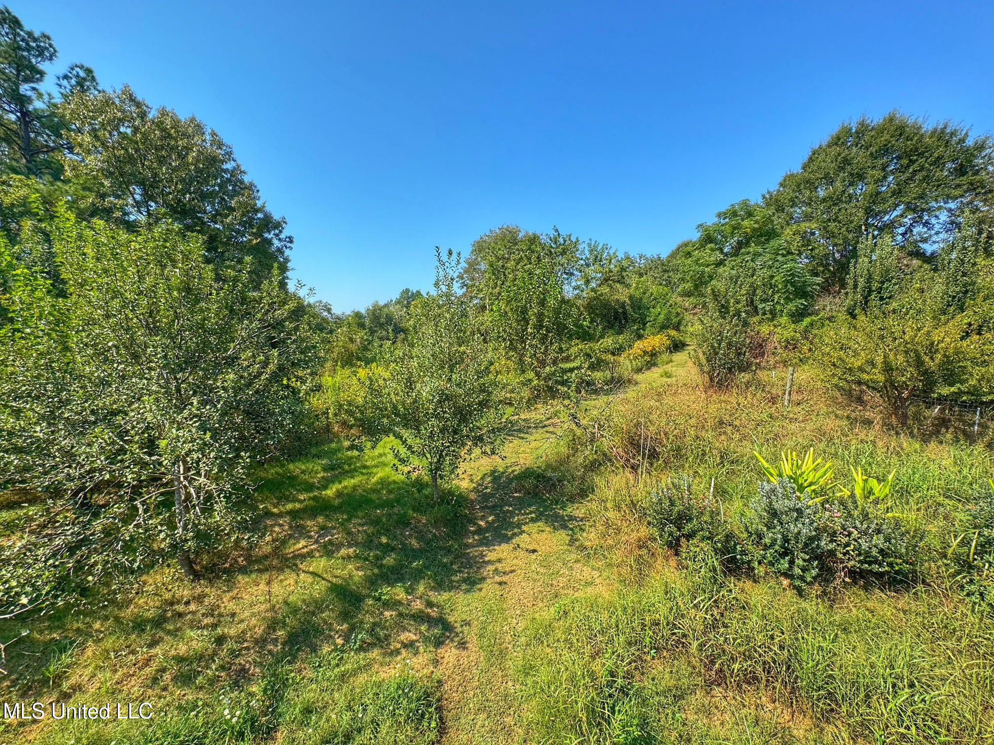 1541 Frank Hall Road Property Photo 31