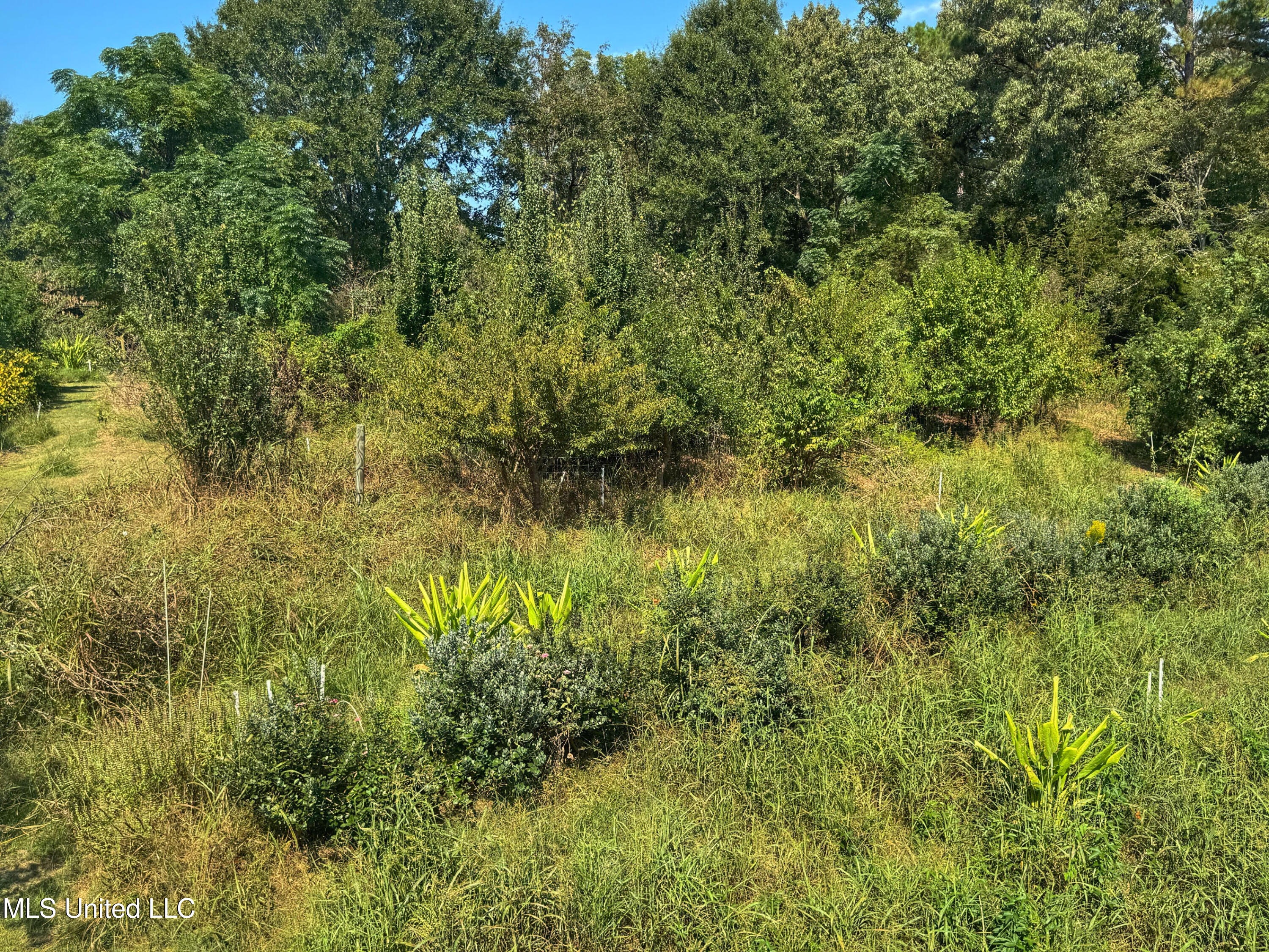 1541 Frank Hall Road Property Photo 32