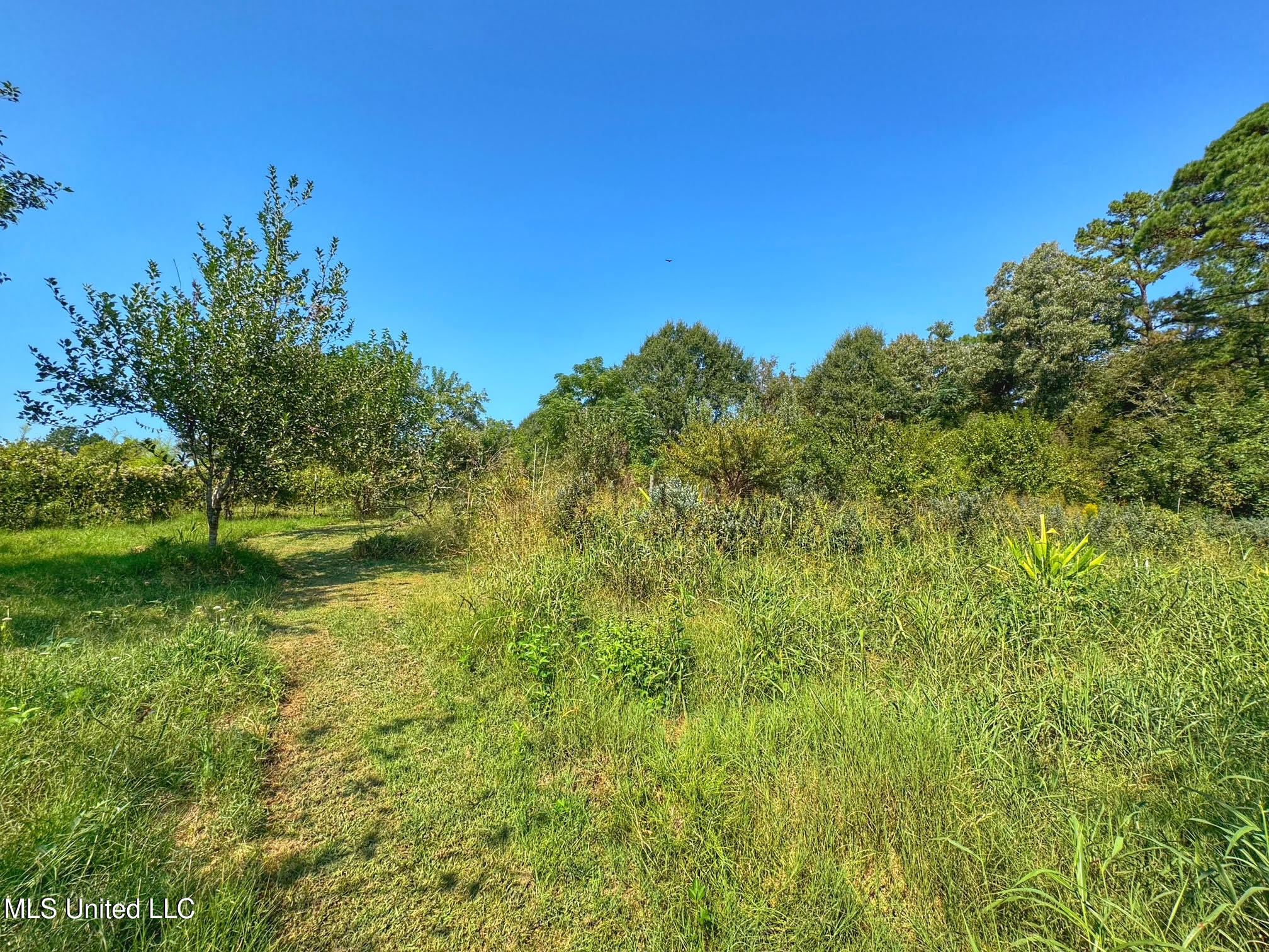 1541 Frank Hall Road Property Photo 35