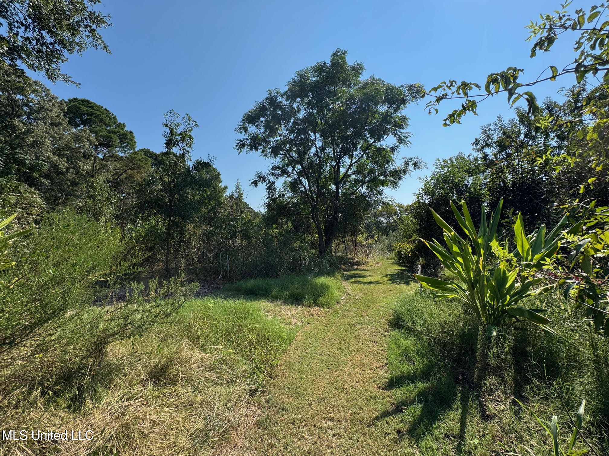 1541 Frank Hall Road Property Photo 38