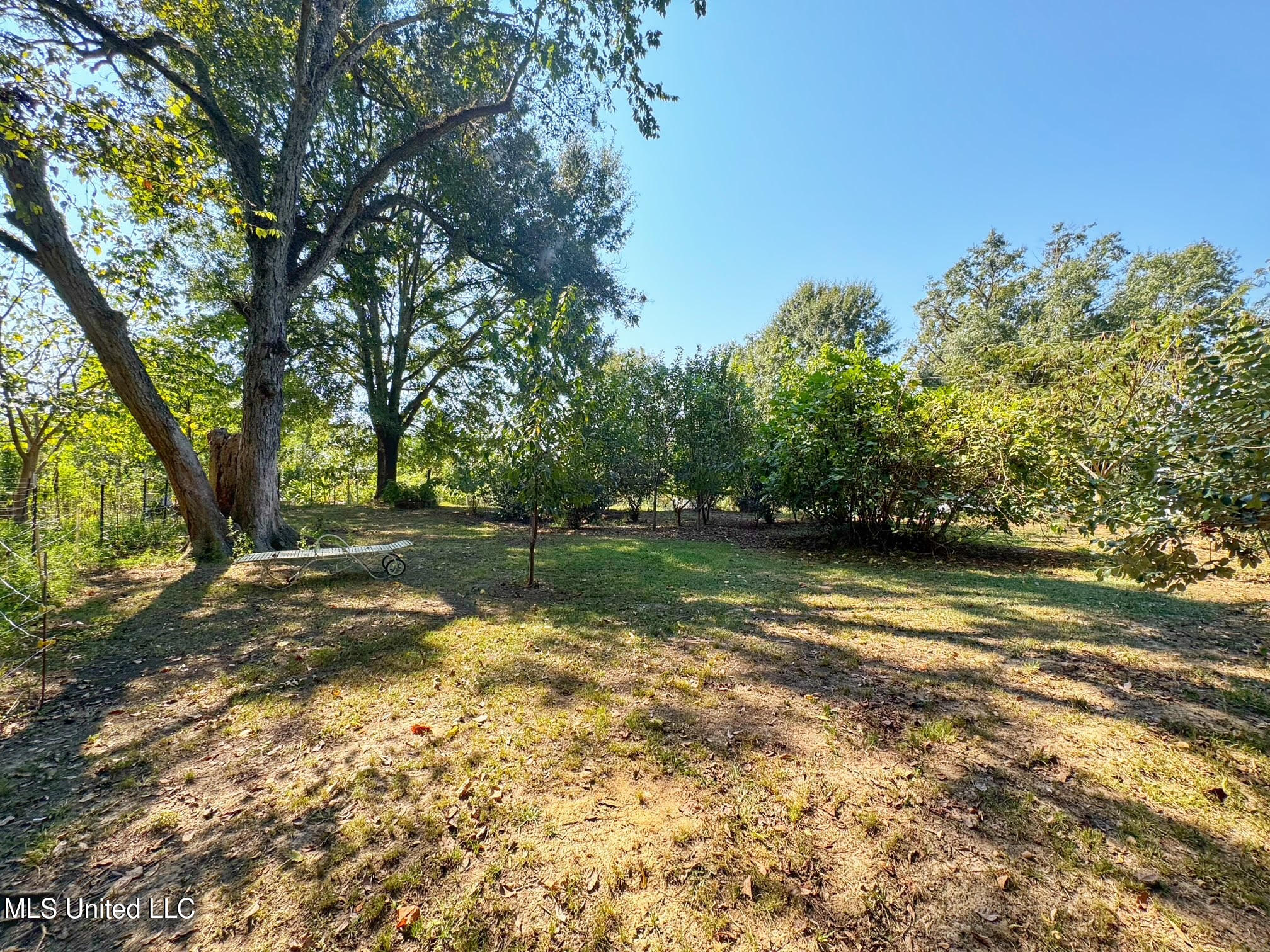 1541 Frank Hall Road Property Photo 39