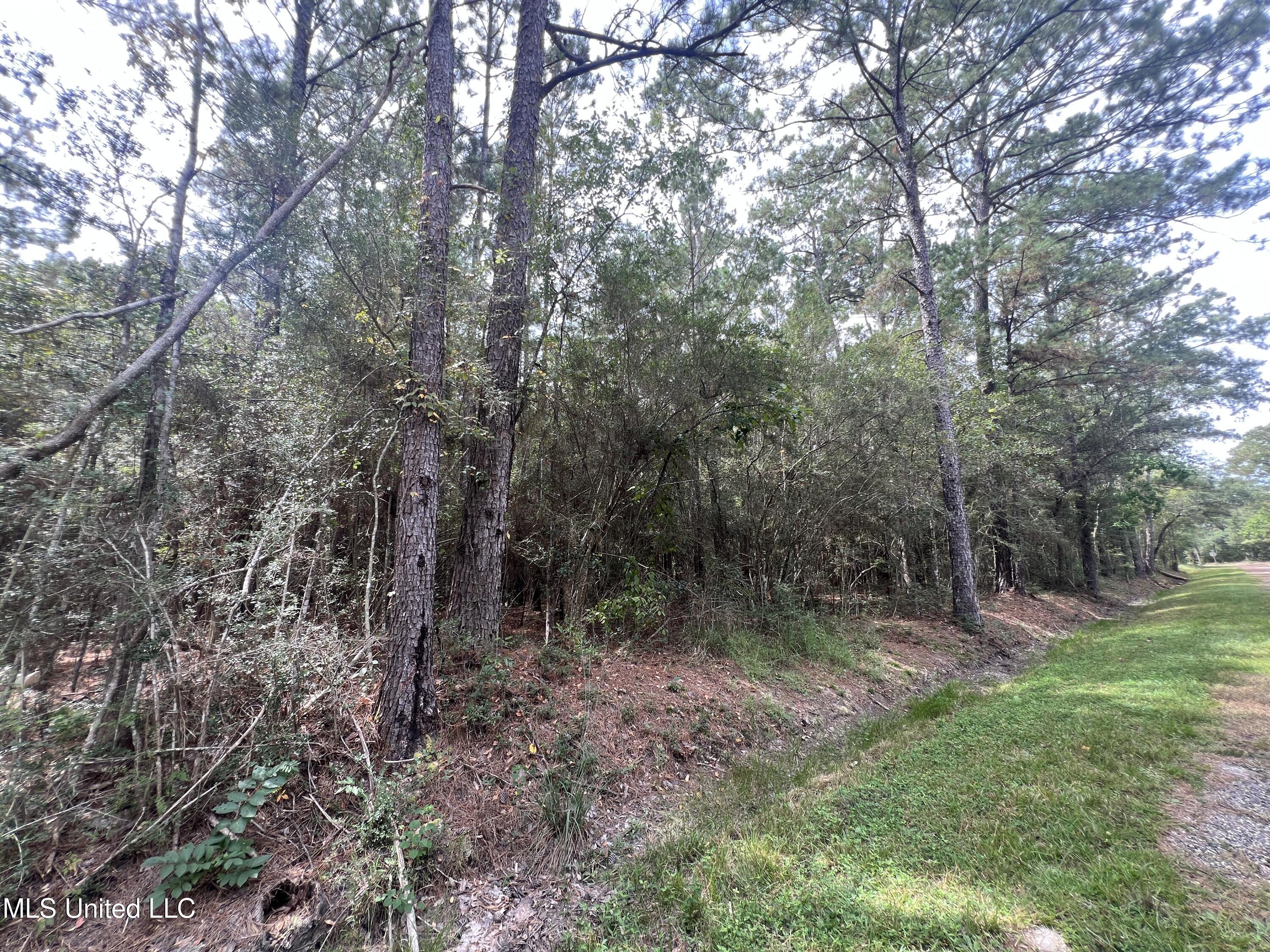 Nhn Tampa Circle Property Photo 4