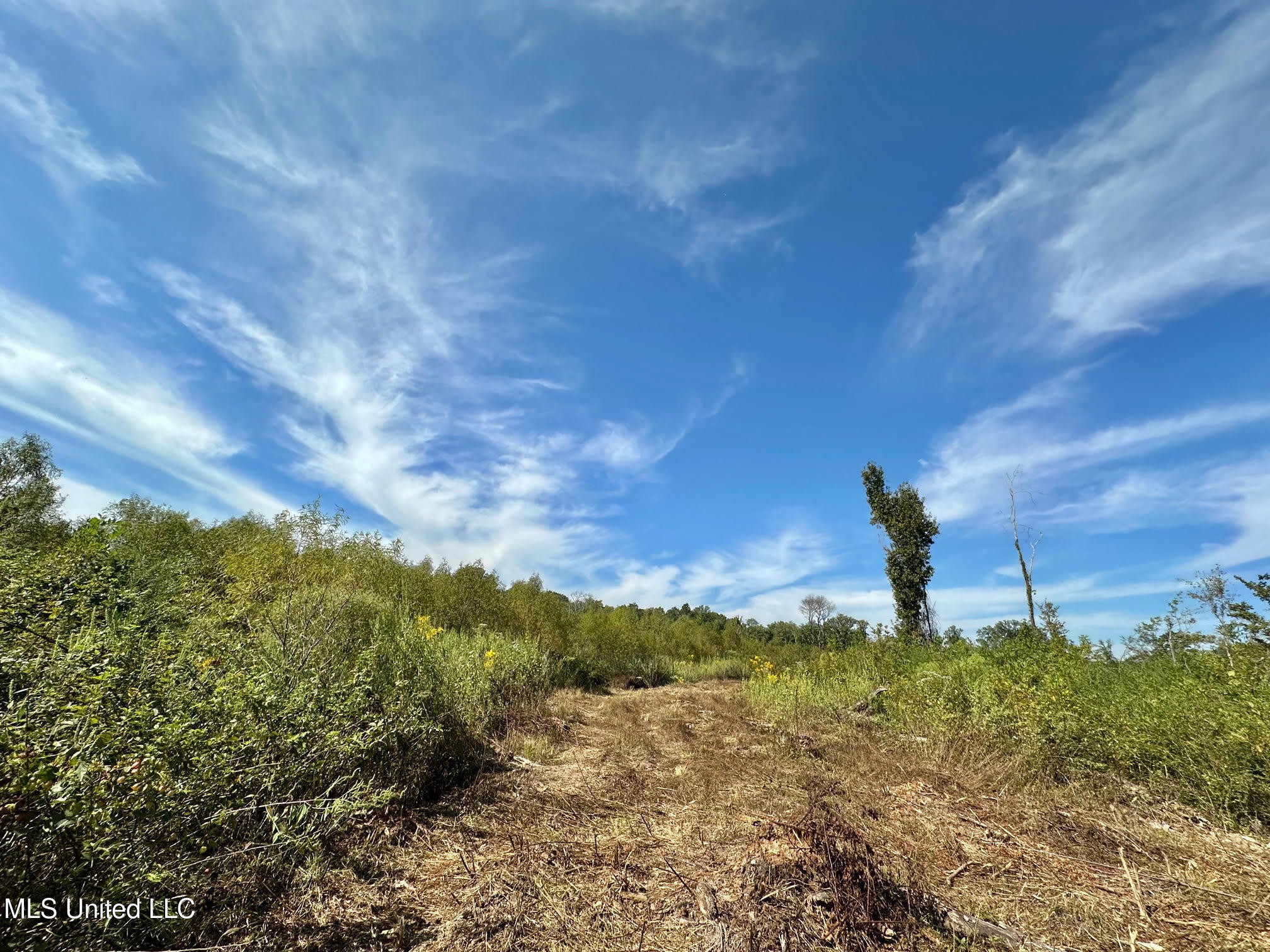 0 Highway 35 Property Photo 2