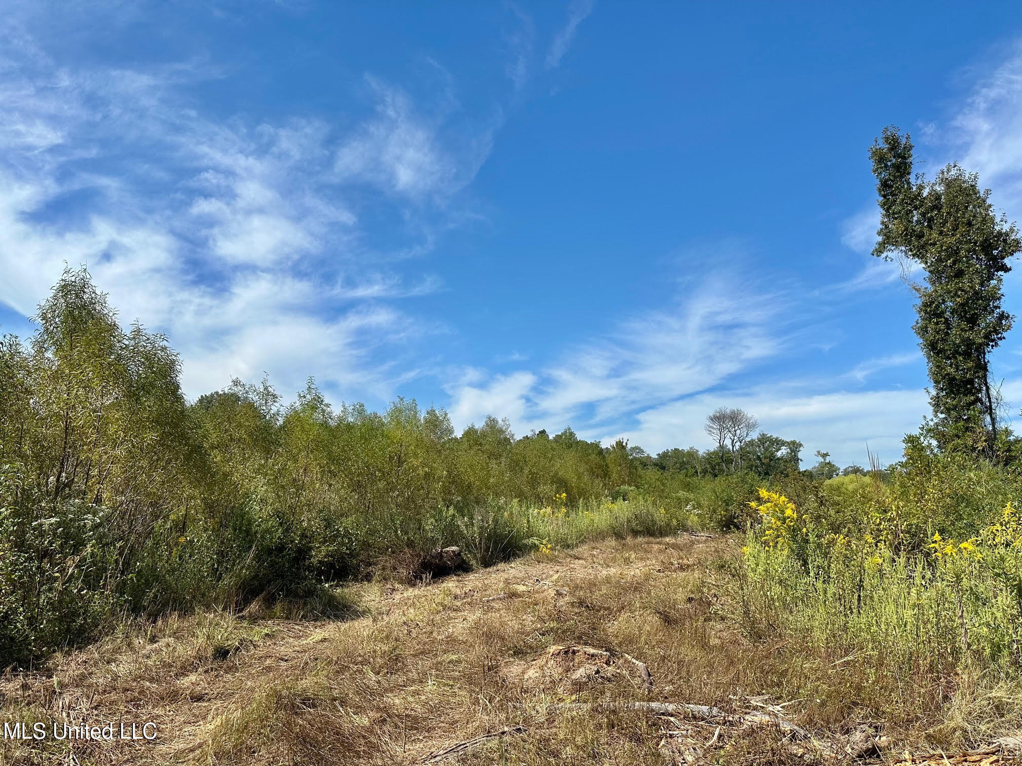 0 Highway 35 Property Photo 6