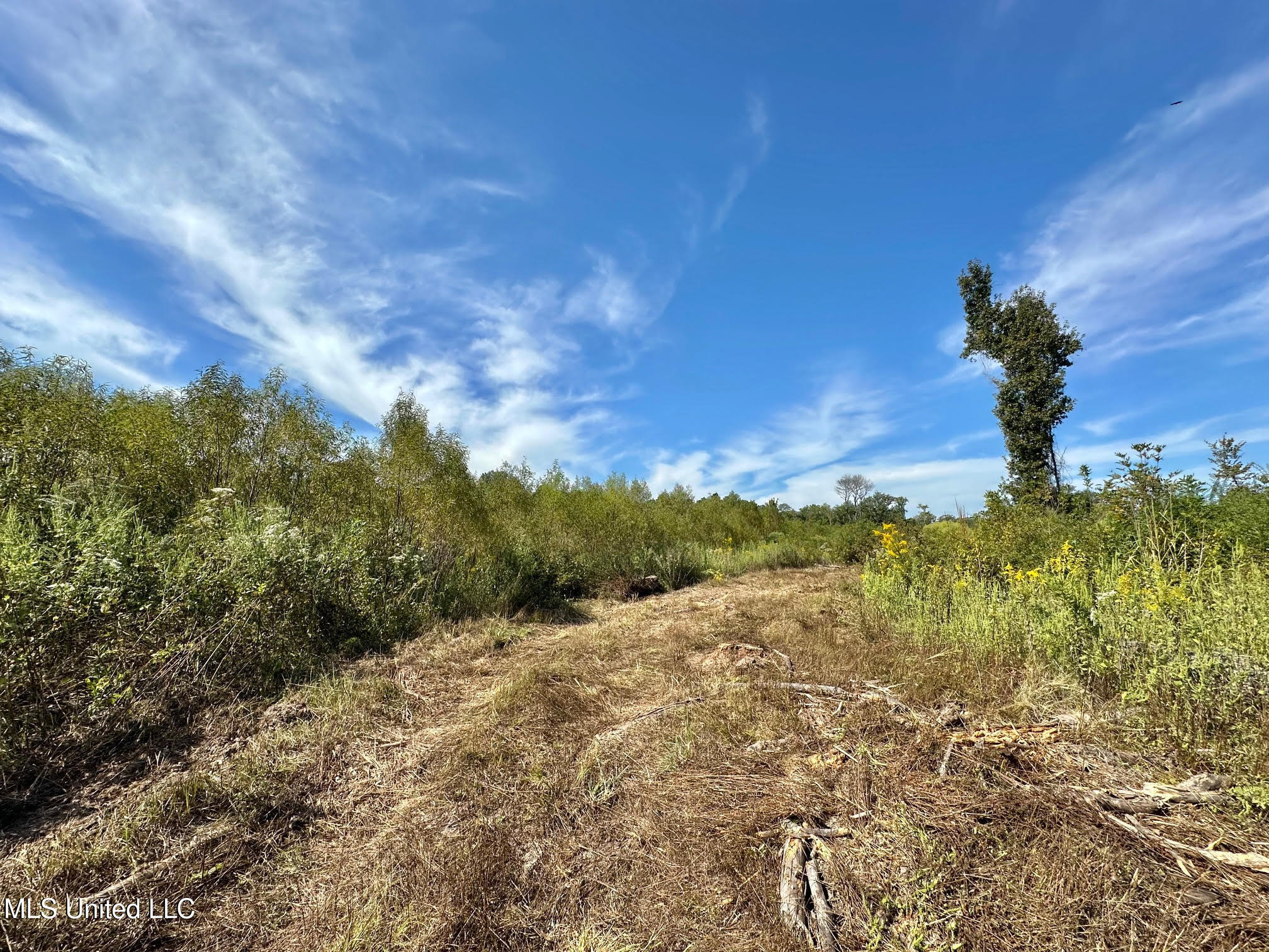 0 Highway 35 Property Photo 7