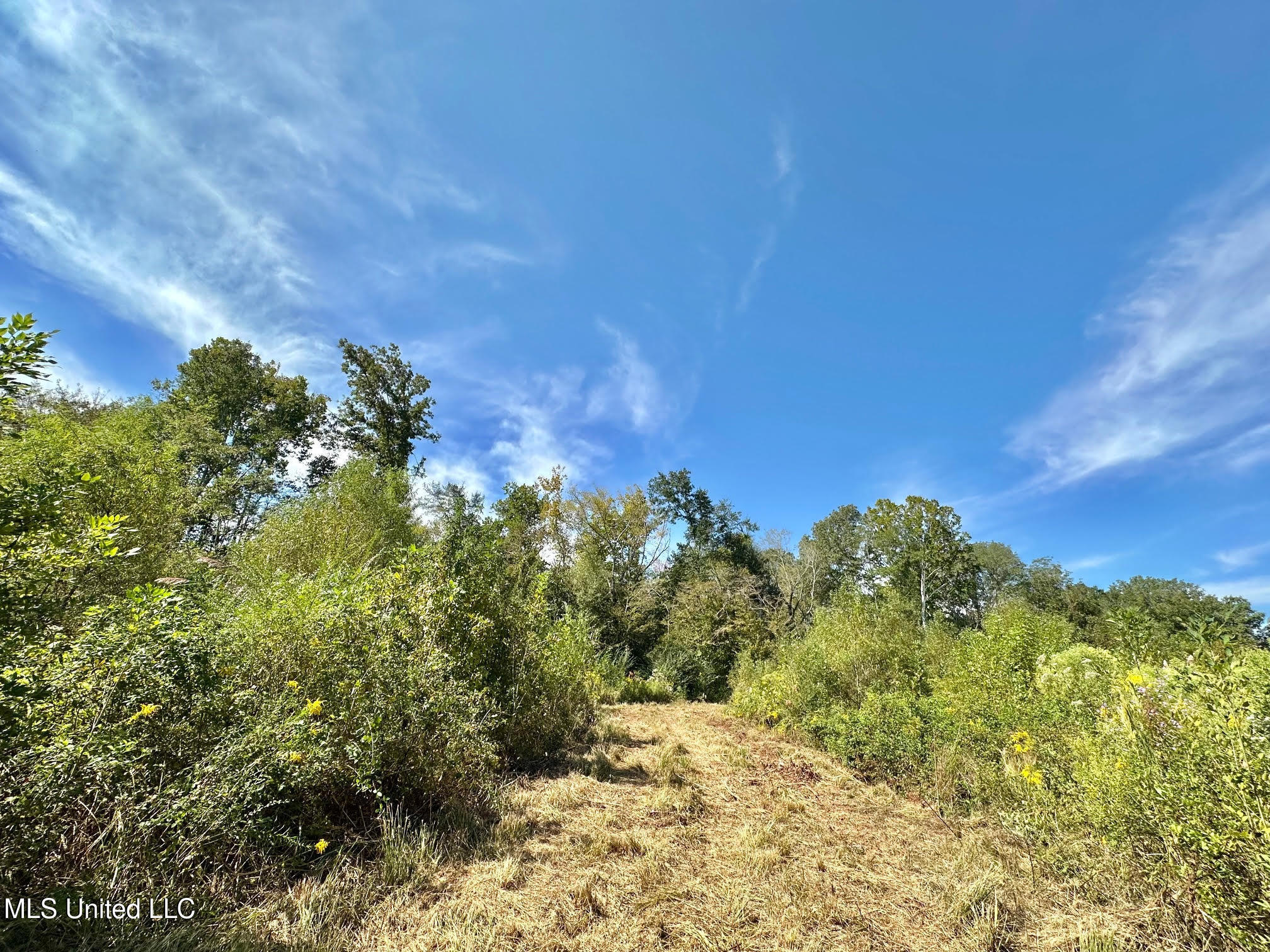 0 Highway 35 Property Photo 10