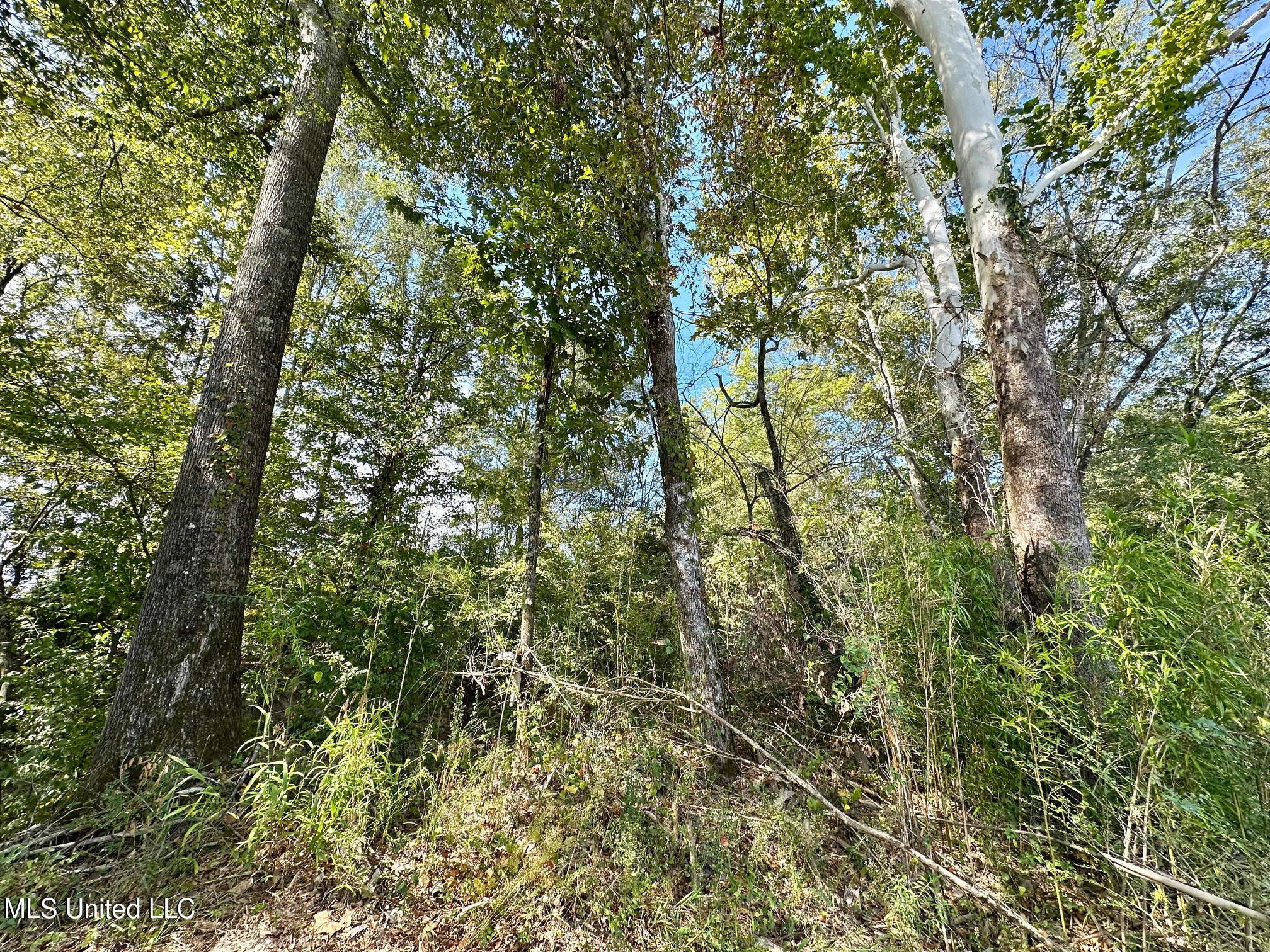 0 Highway 35 Property Photo 11