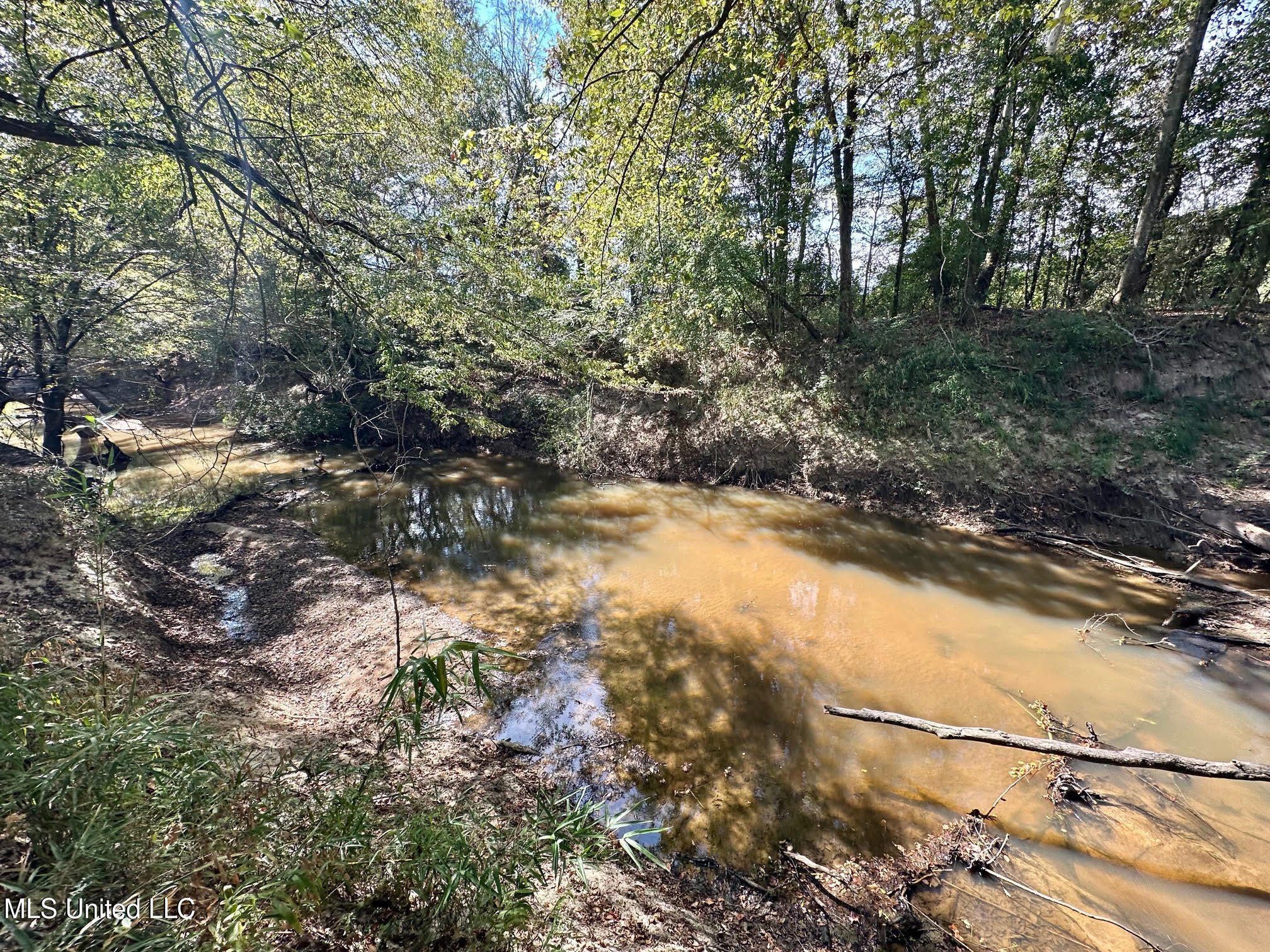 0 Highway 35 Property Photo 12