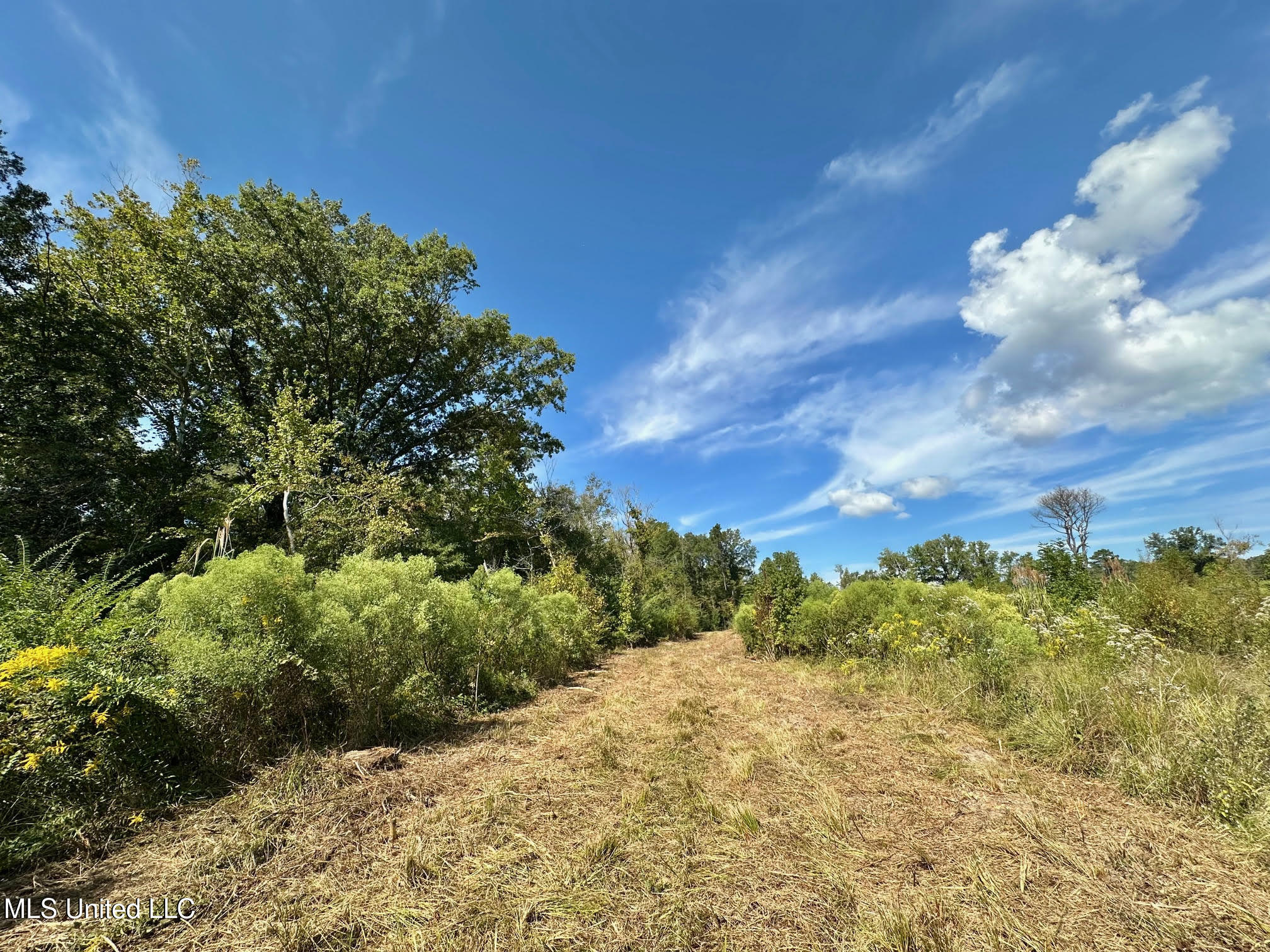 0 Highway 35 Property Photo 13