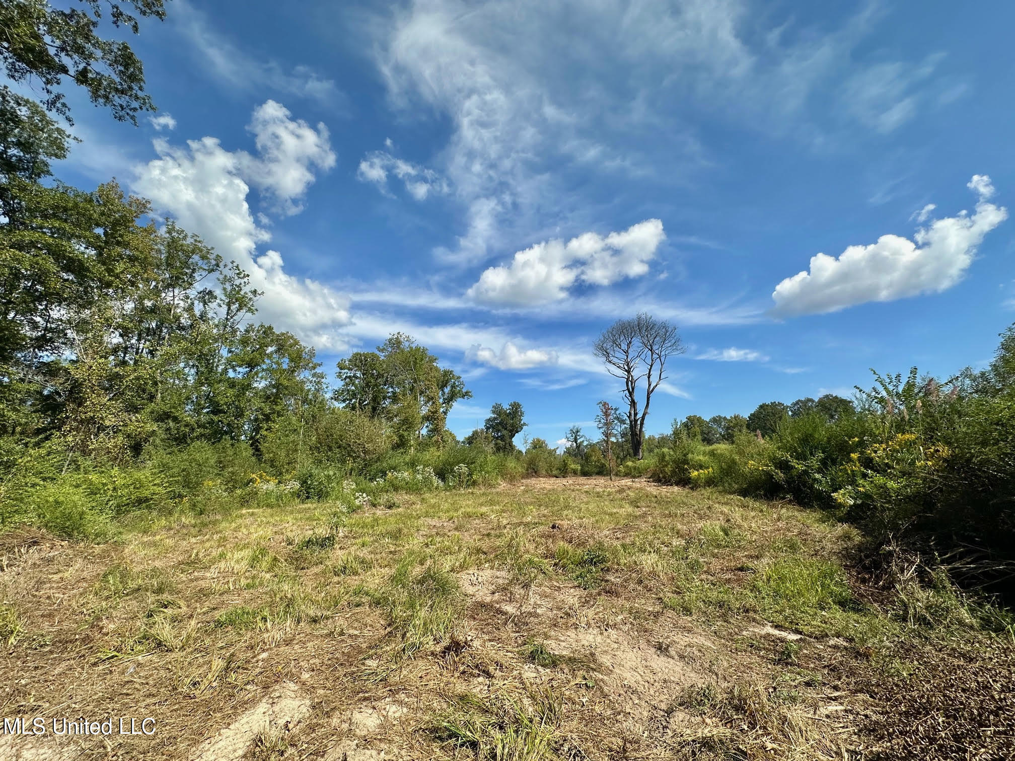 0 Highway 35 Property Photo 14