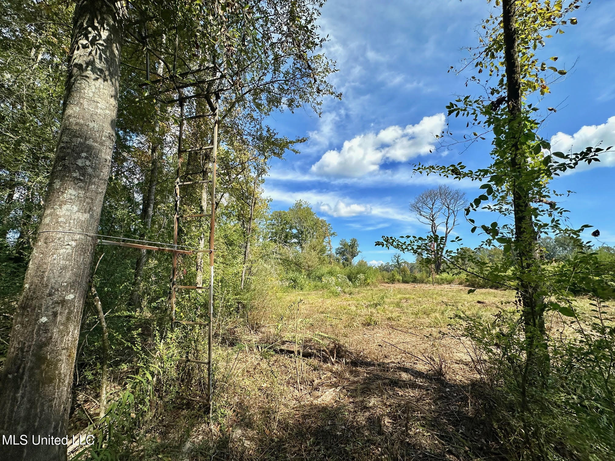 0 Highway 35 Property Photo 15