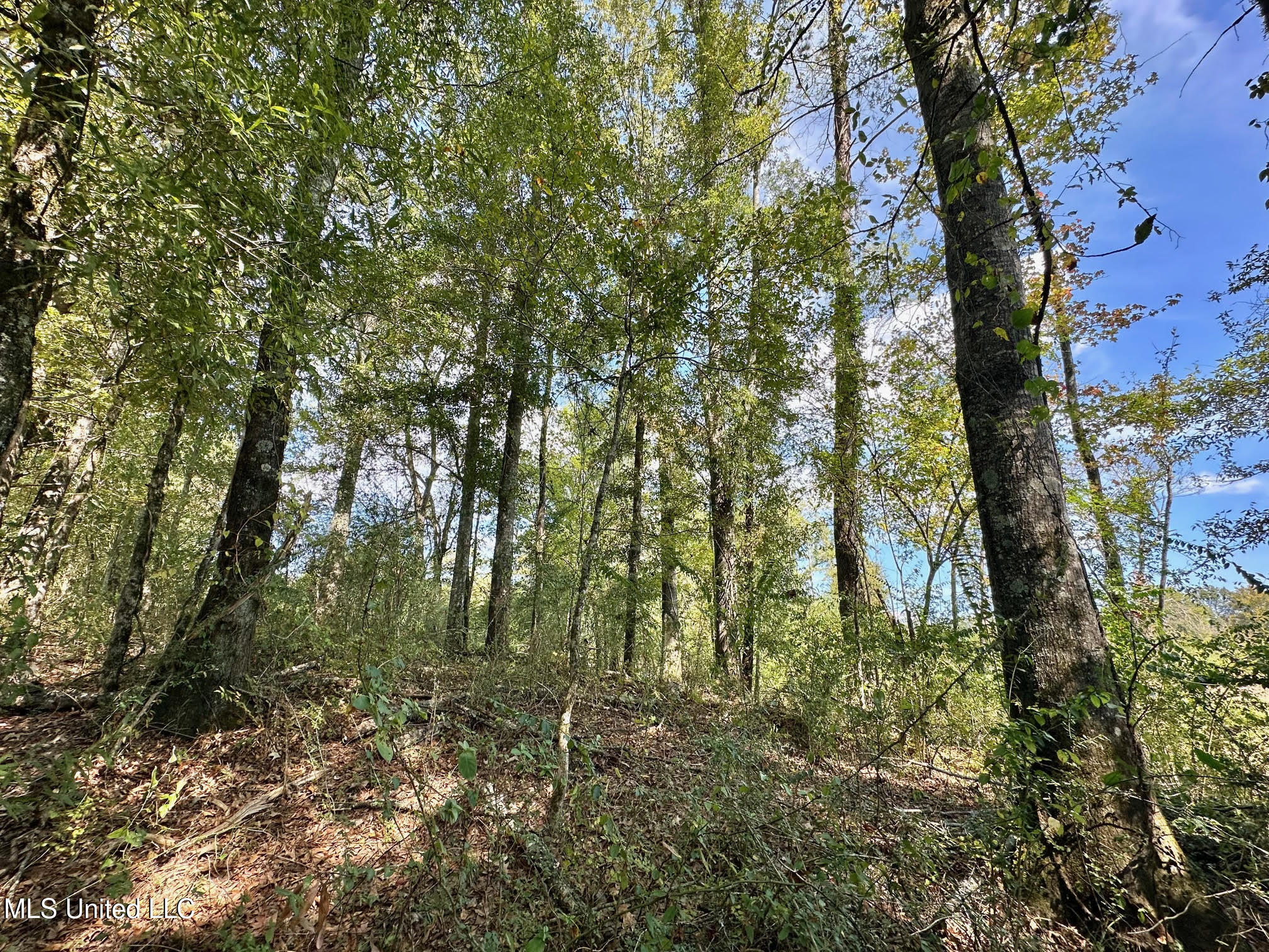 0 Highway 35 Property Photo 16