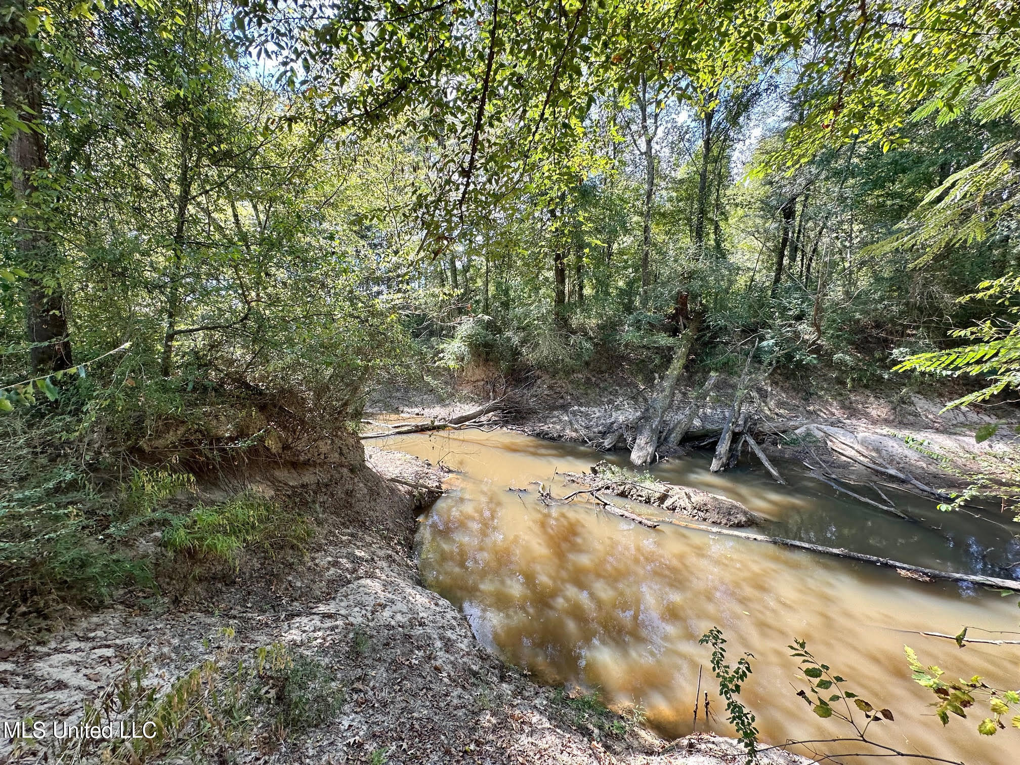 0 Highway 35 Property Photo 17