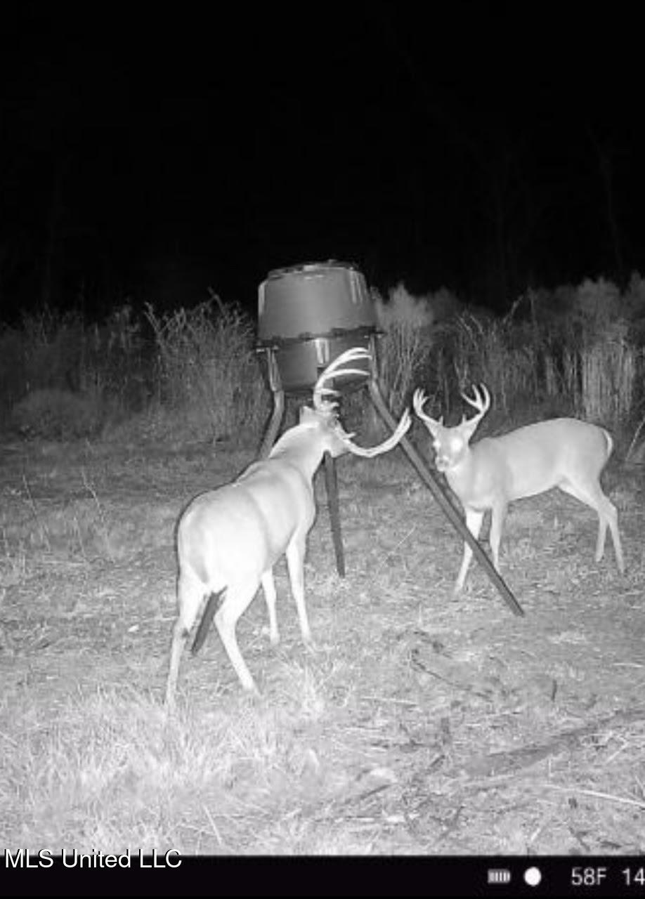 0 Highway 35 Property Photo 25