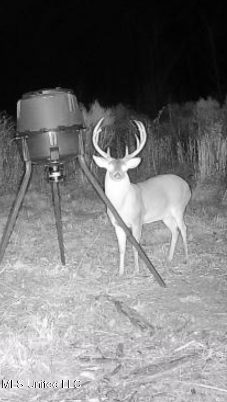 0 Highway 35 Property Photo 26