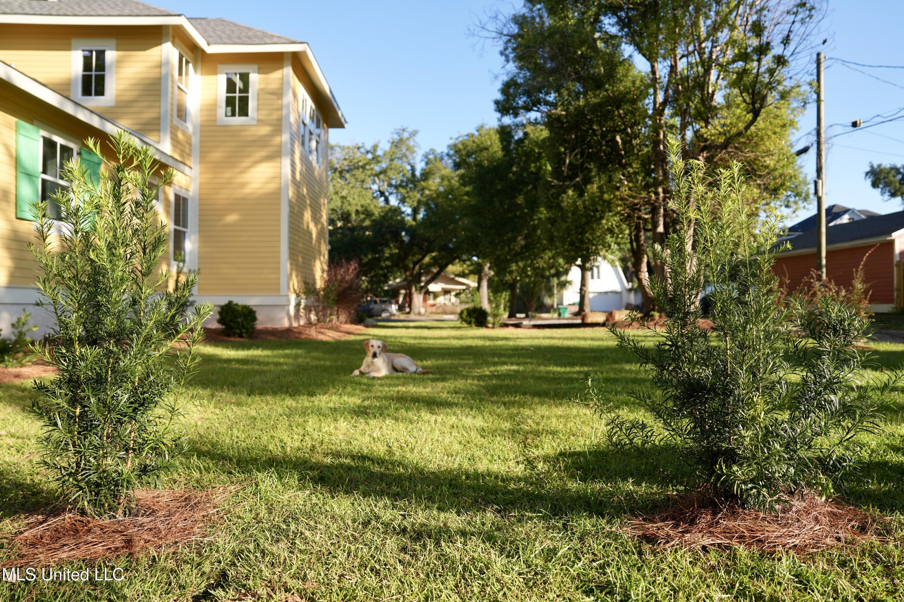 1114 33rd Avenue Property Photo 22