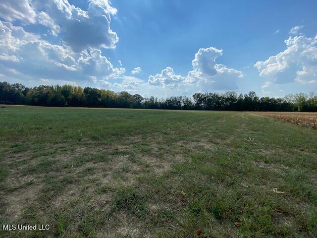 10 1/2 Acres Smith Property Photo 1