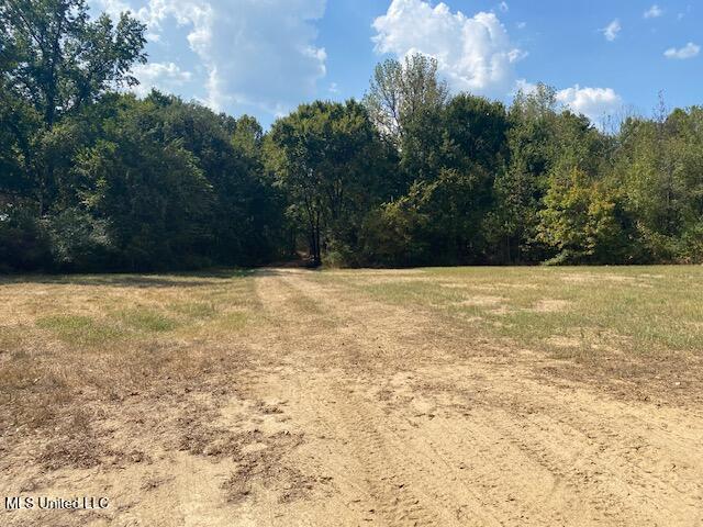 10 1/2 Acres Smith Property Photo 2
