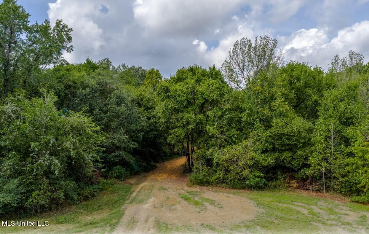 10 1/2 Acres Smith Property Photo 3