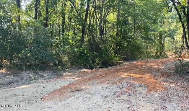 10 1/2 Acres Smith Property Photo 4