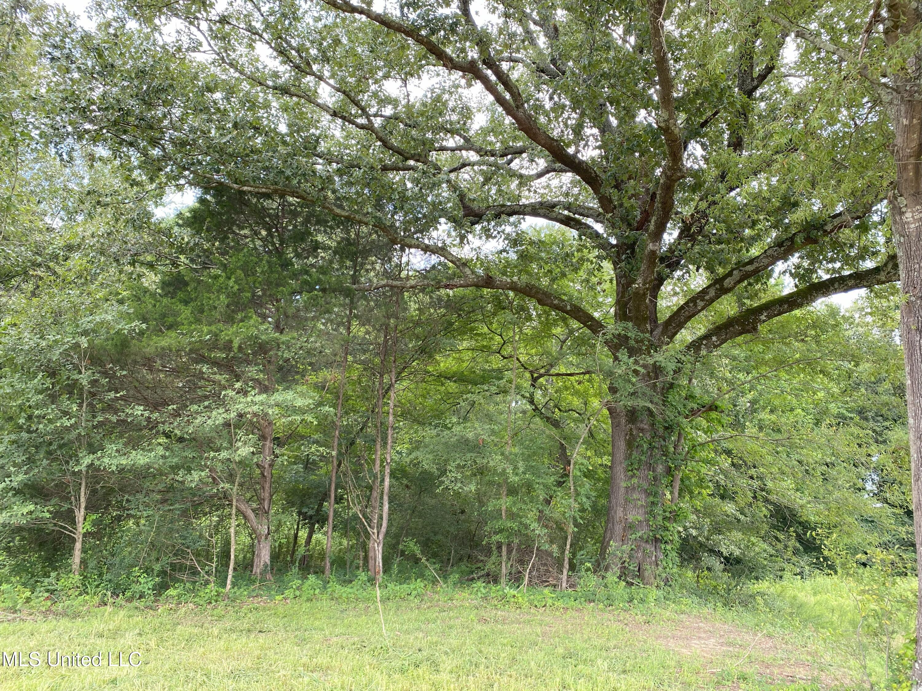 10 1/2 Acres Smith Property Photo 6