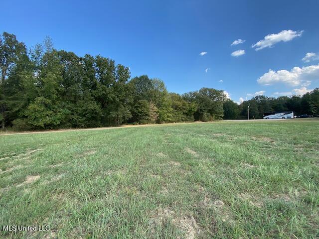 10 1/2 Acres Smith Property Photo 8