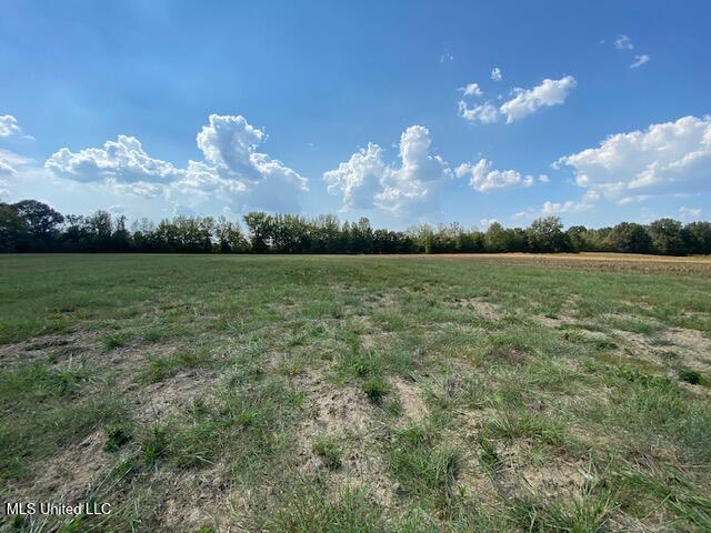 10 1/2 Acres Smith Property Photo 9