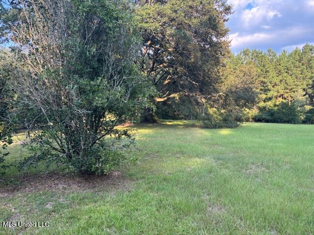 2028 Smithburg Road Property Photo 7