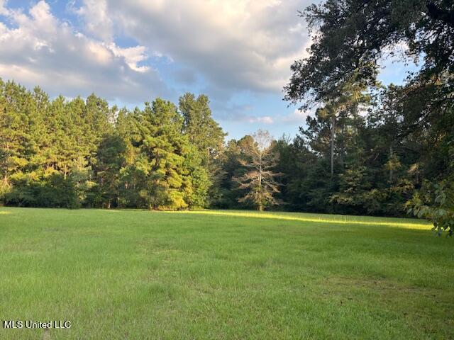 2028 Smithburg Road Property Photo 9