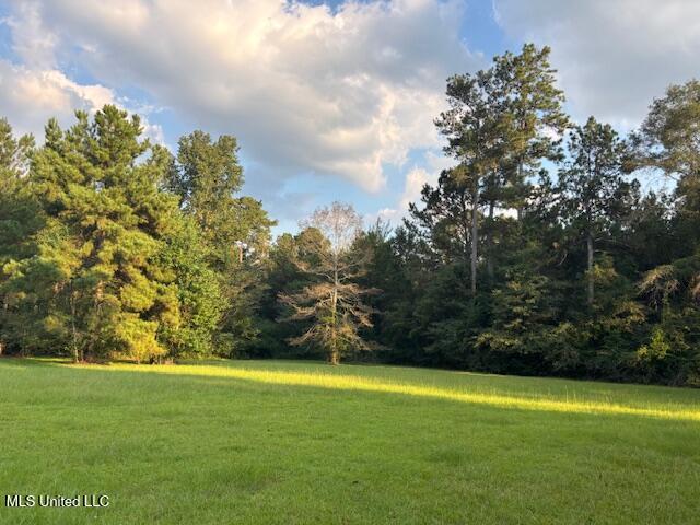 2028 Smithburg Road Property Photo 14