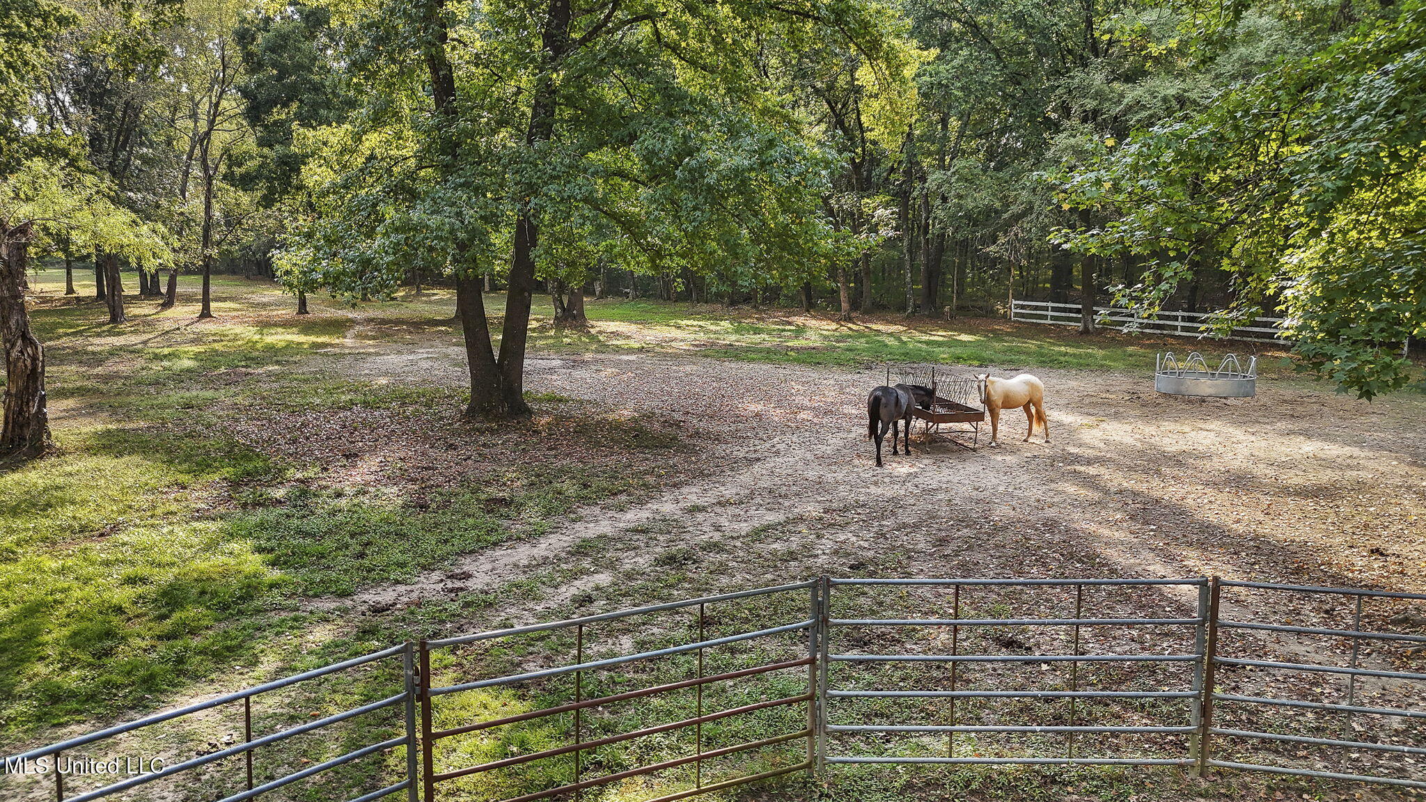 4575 Roman Dell Cove Property Photo 40
