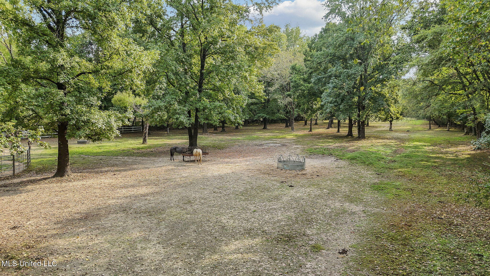 4575 Roman Dell Cove Property Photo 43