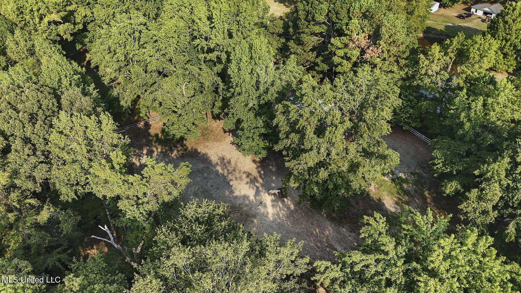 4575 Roman Dell Cove Property Photo 47