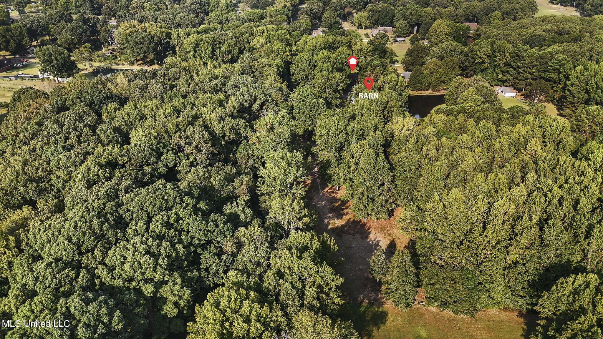 4575 Roman Dell Cove Property Photo 50