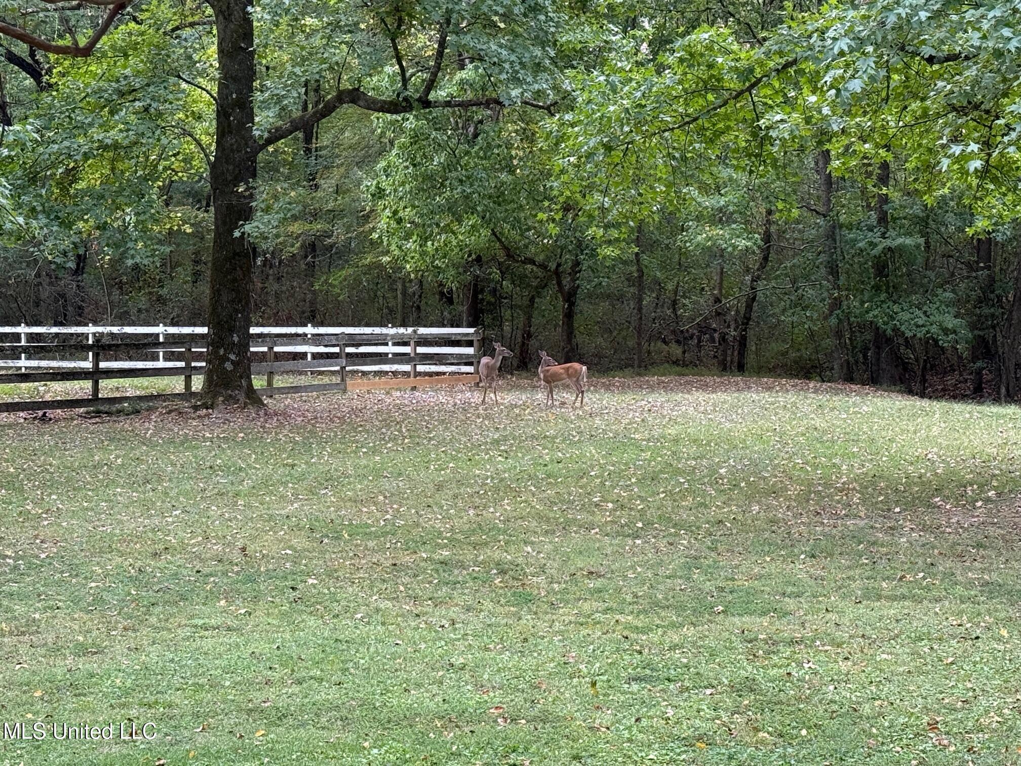4575 Roman Dell Cove Property Photo 62