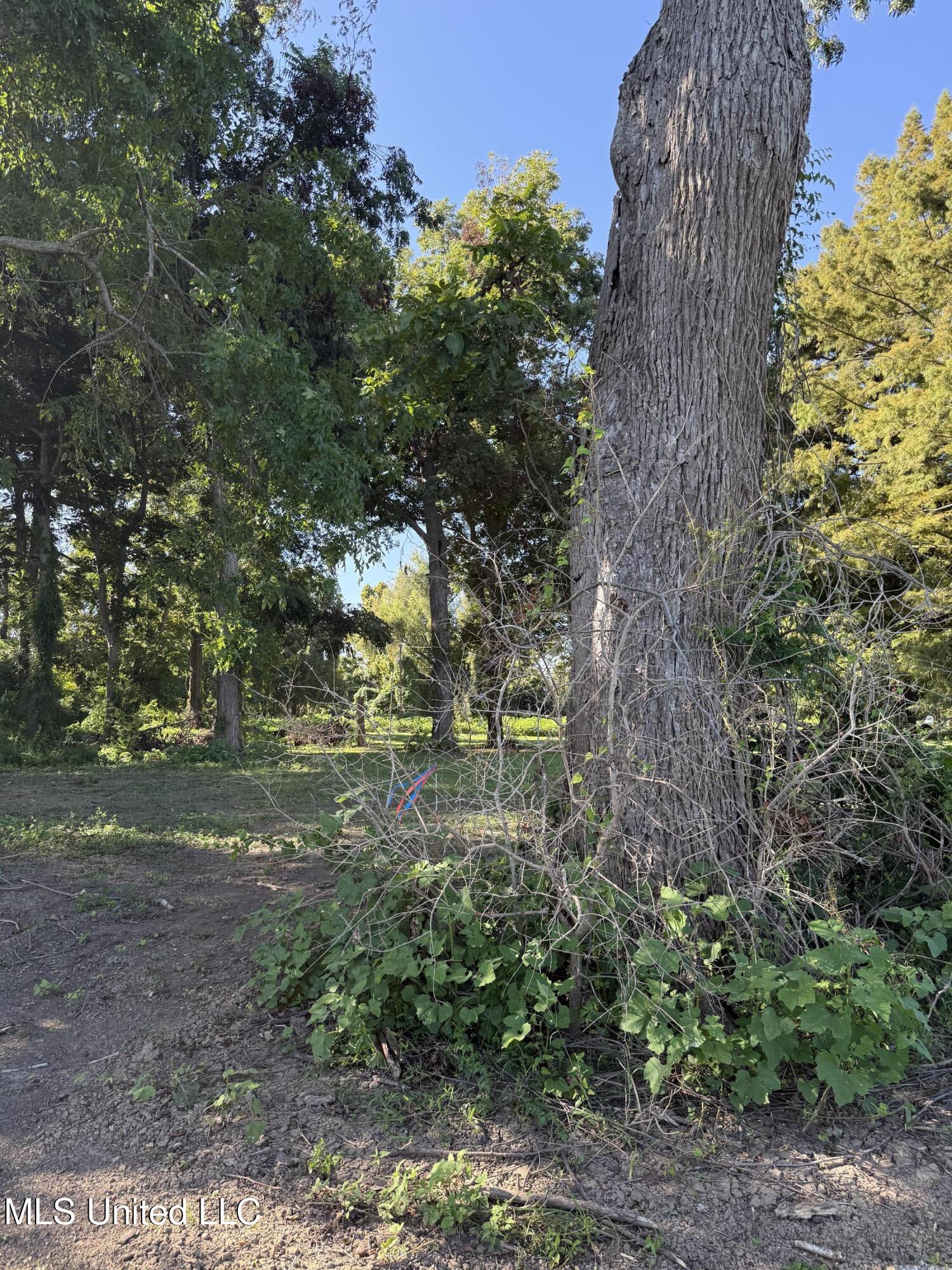 Deer Park Road Property Photo 12