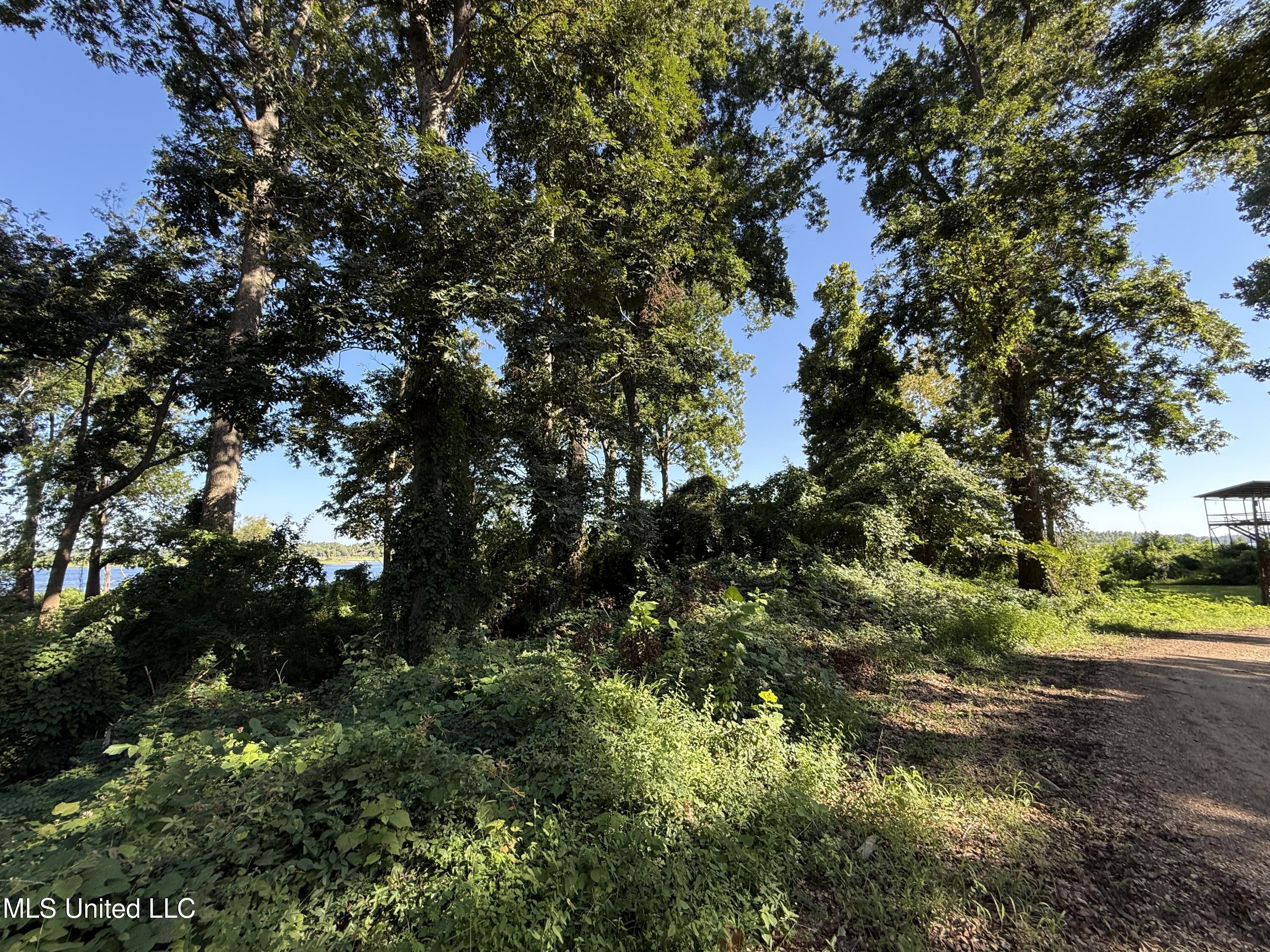 Deer Park Road Property Photo 17