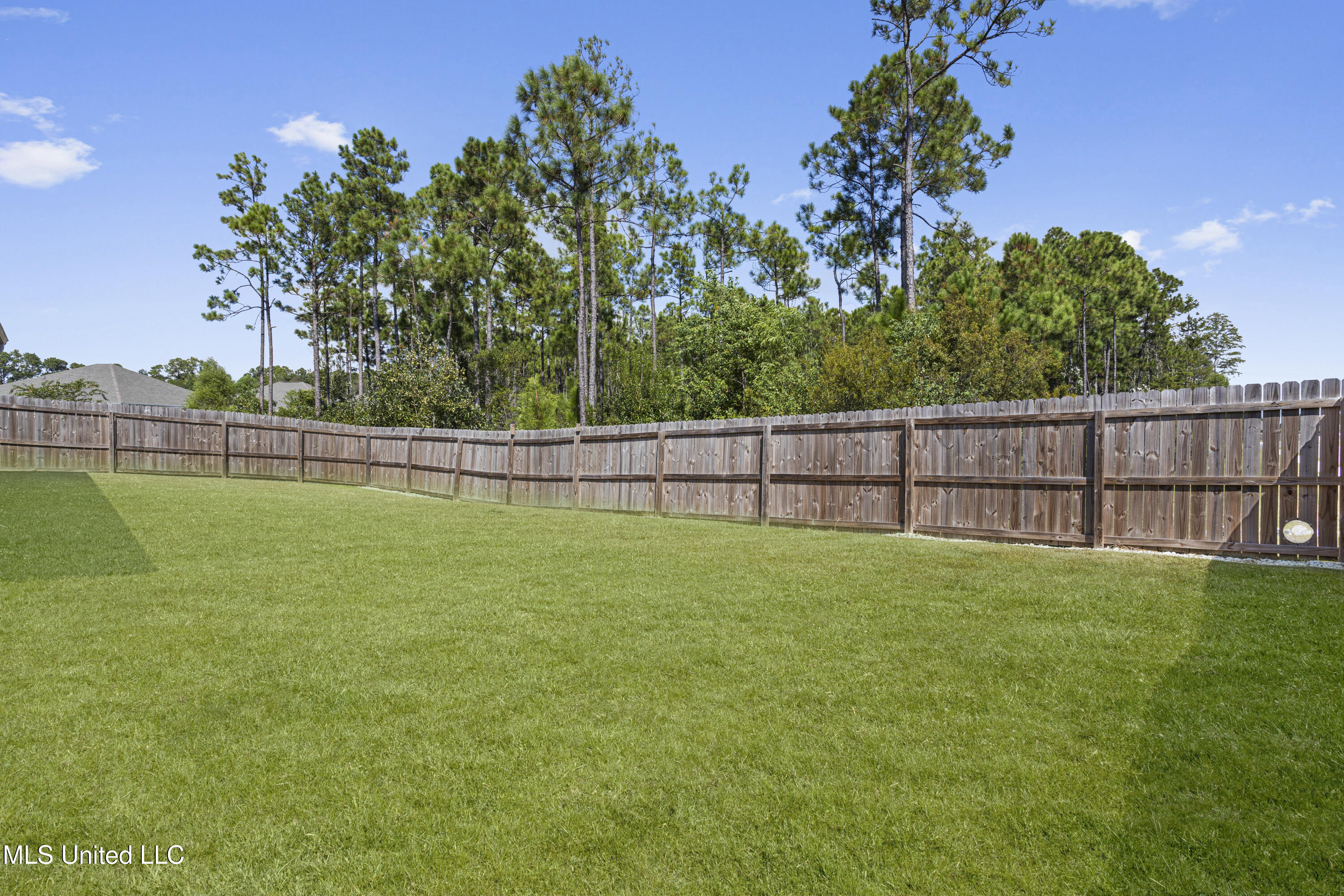 10260 Orchid Magnolia Drive Property Photo 17