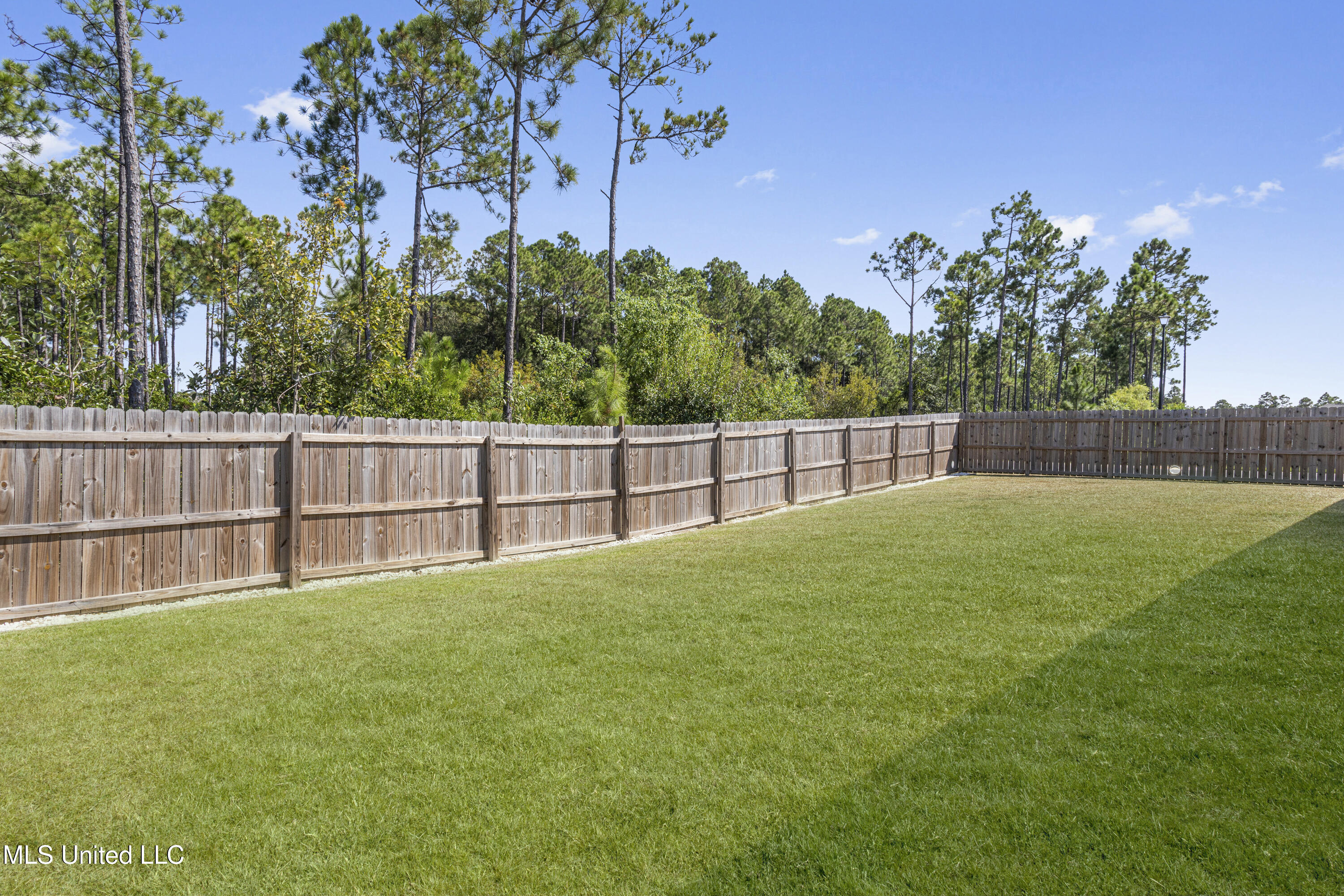 10260 Orchid Magnolia Drive Property Photo 39