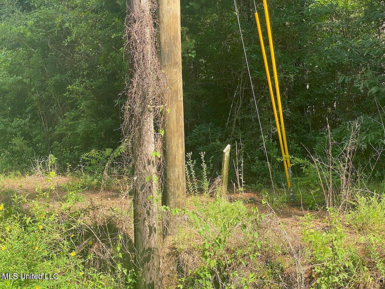 10 Ac Donniebrook Lane Property Photo 10