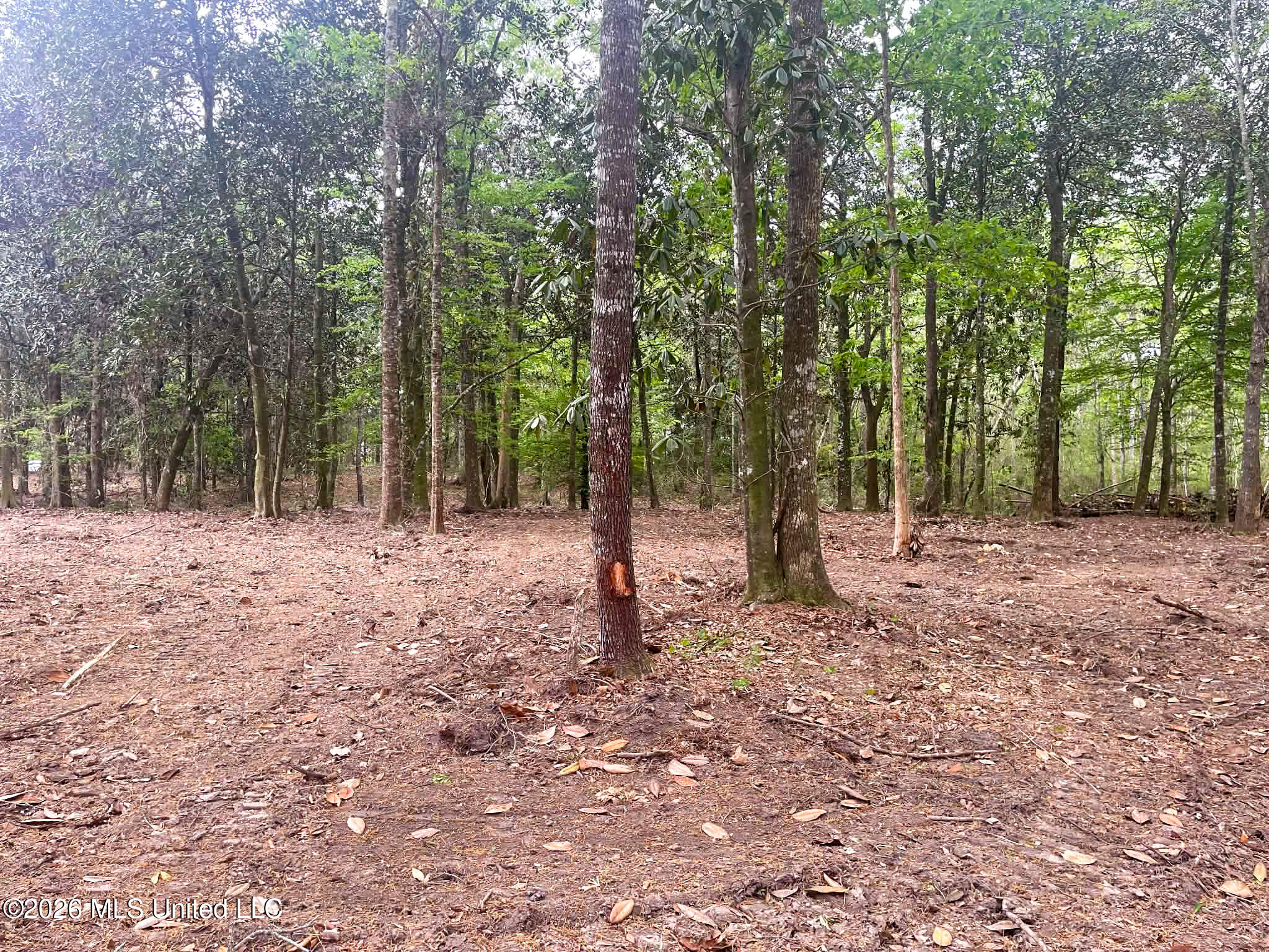 10 Ac Donniebrook Lane Property Photo 25