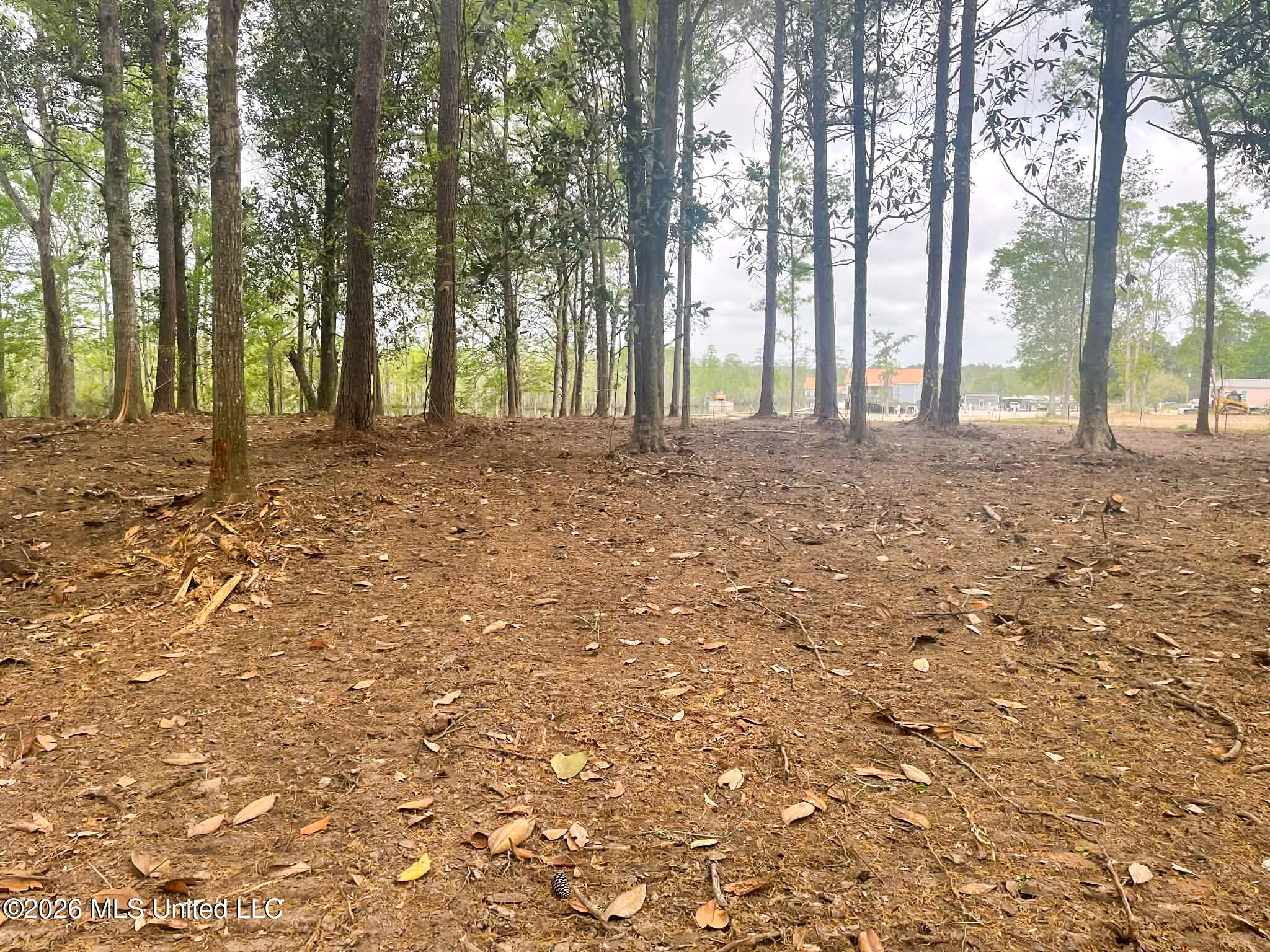 10 Ac Donniebrook Lane Property Photo 27