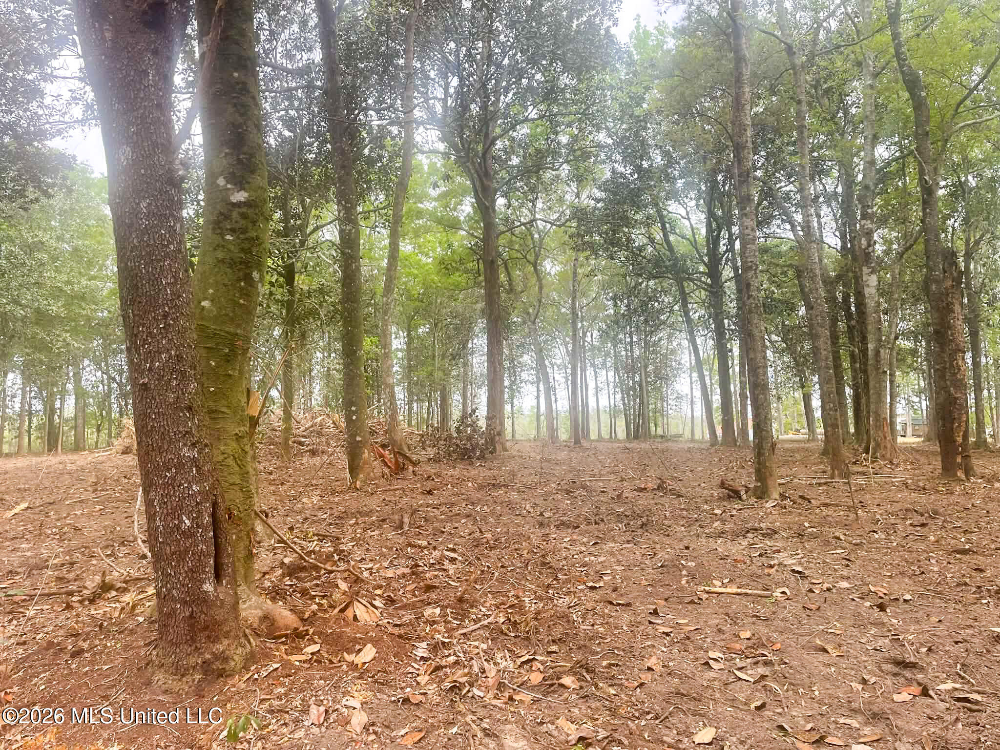 10 Ac Donniebrook Lane Property Photo 33