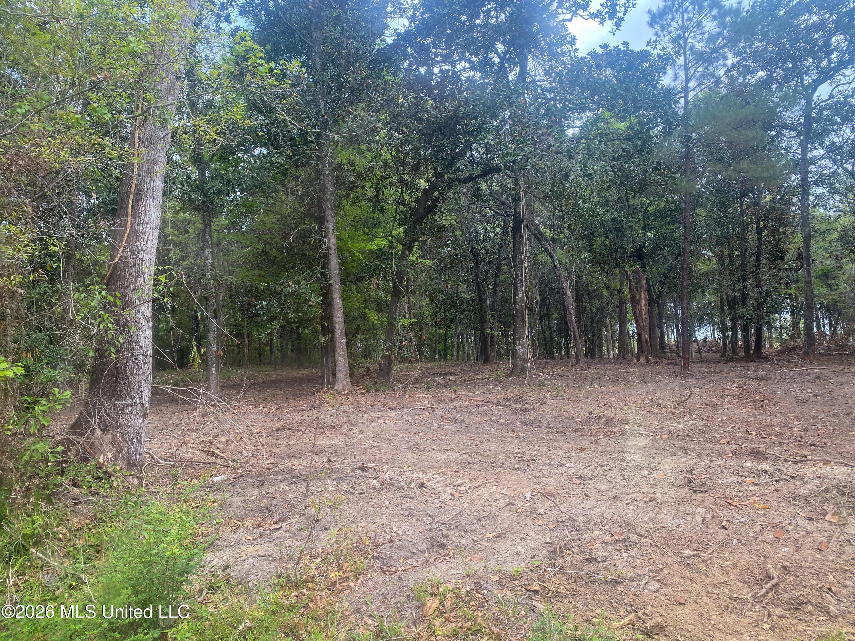 10 Ac Donniebrook Lane Property Photo 37