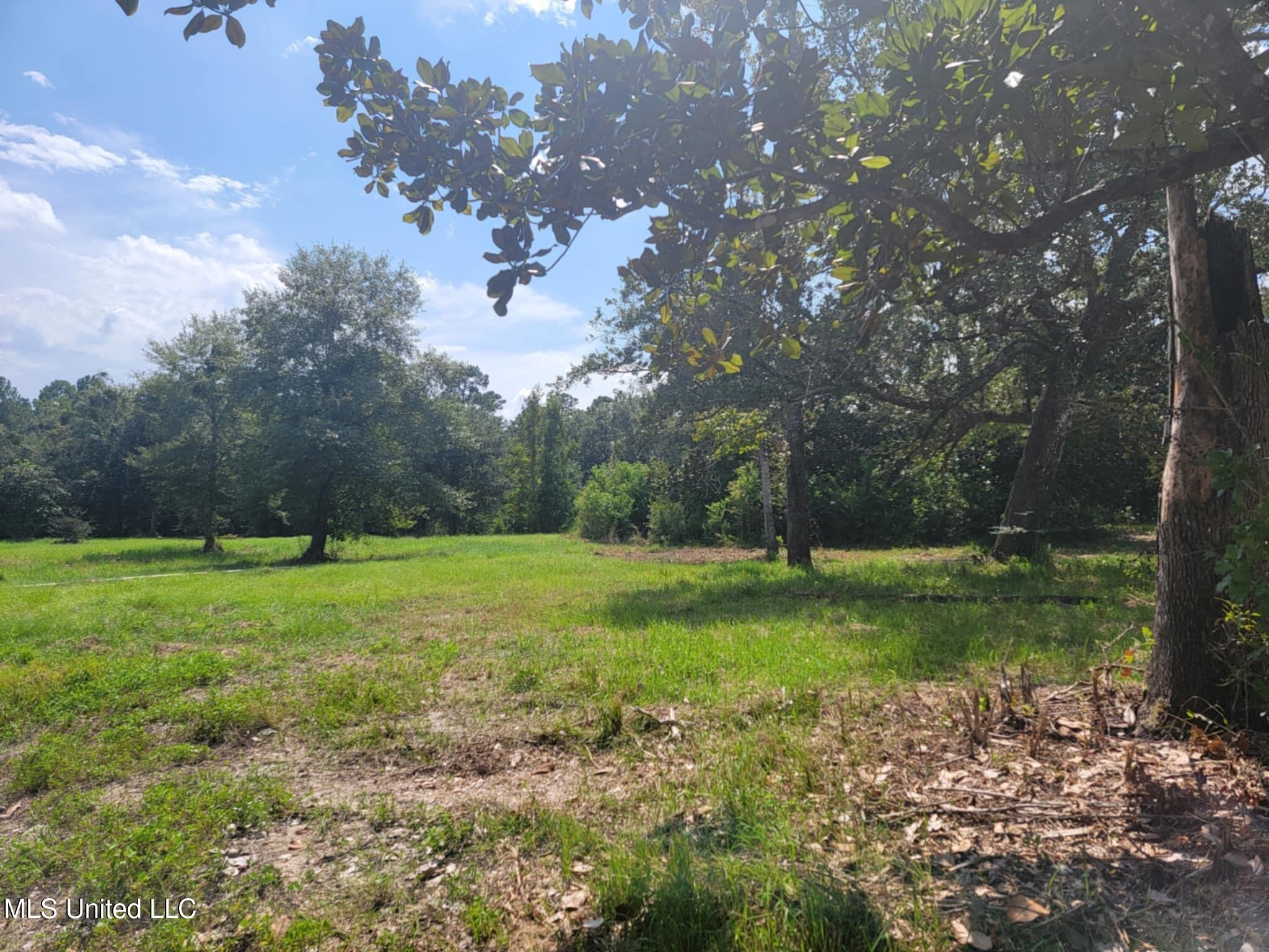 10550 Oneal Road Property Photo 11