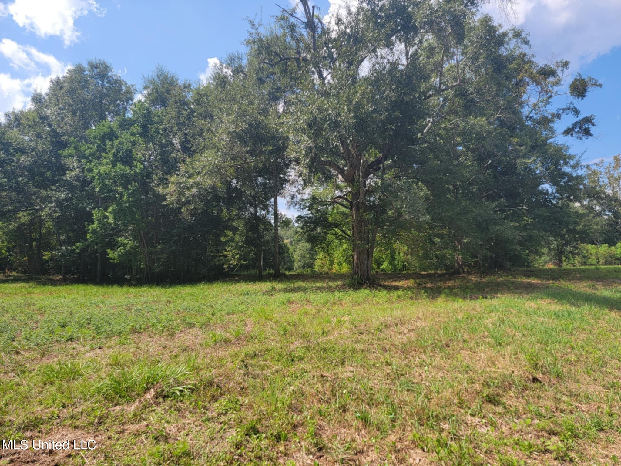 10550 Oneal Road Property Photo 14