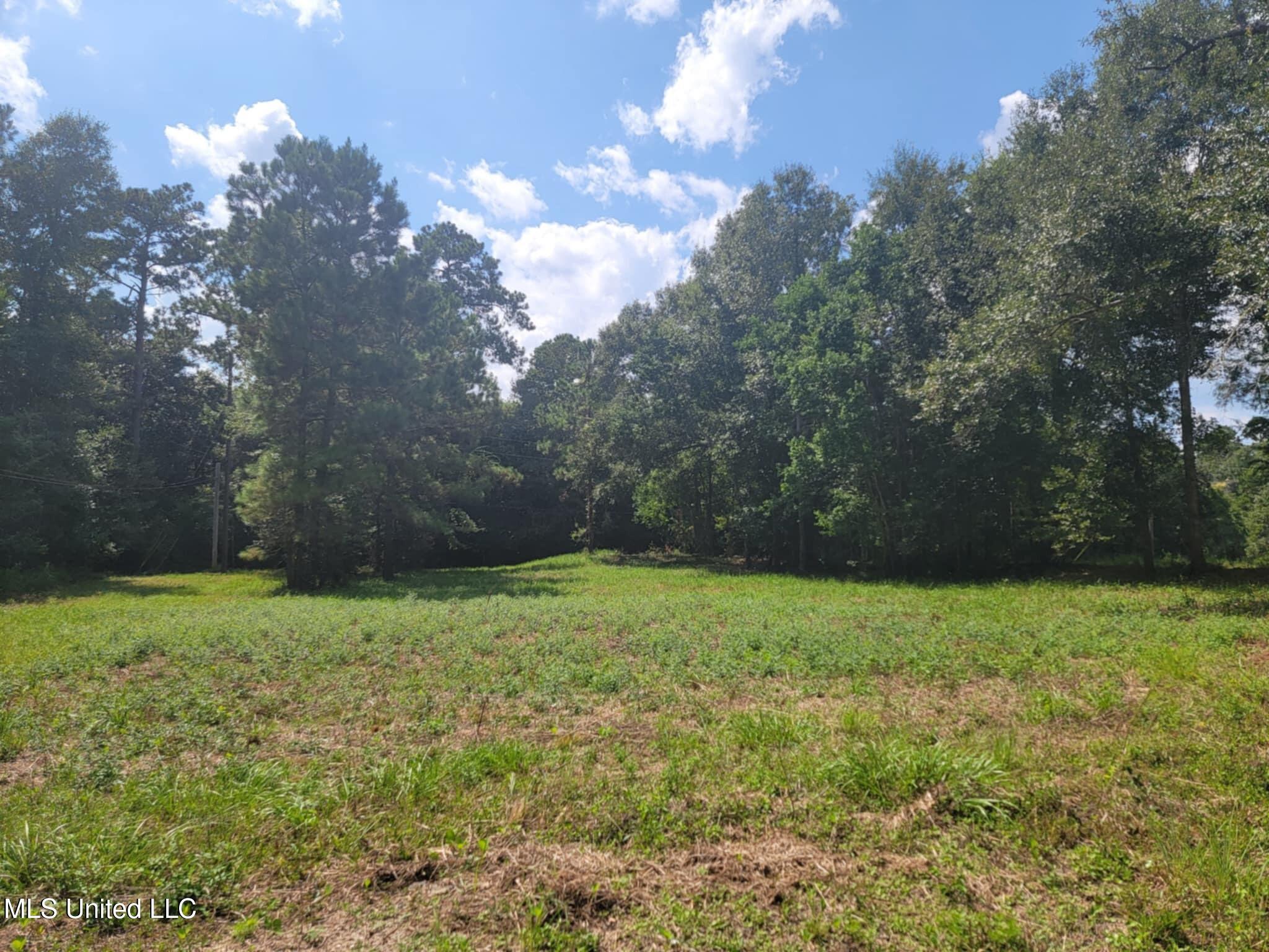 10550 Oneal Road Property Photo 12