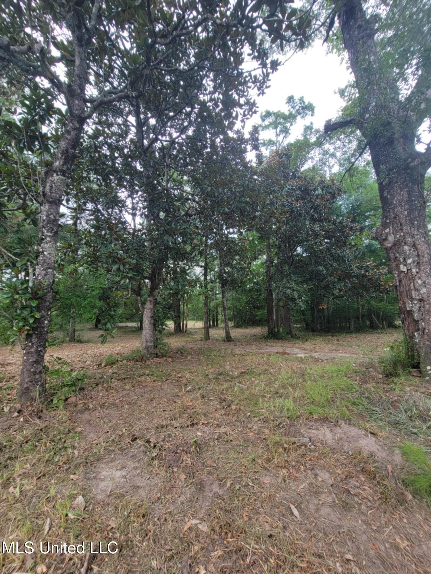 10550 Oneal Road Property Photo 6