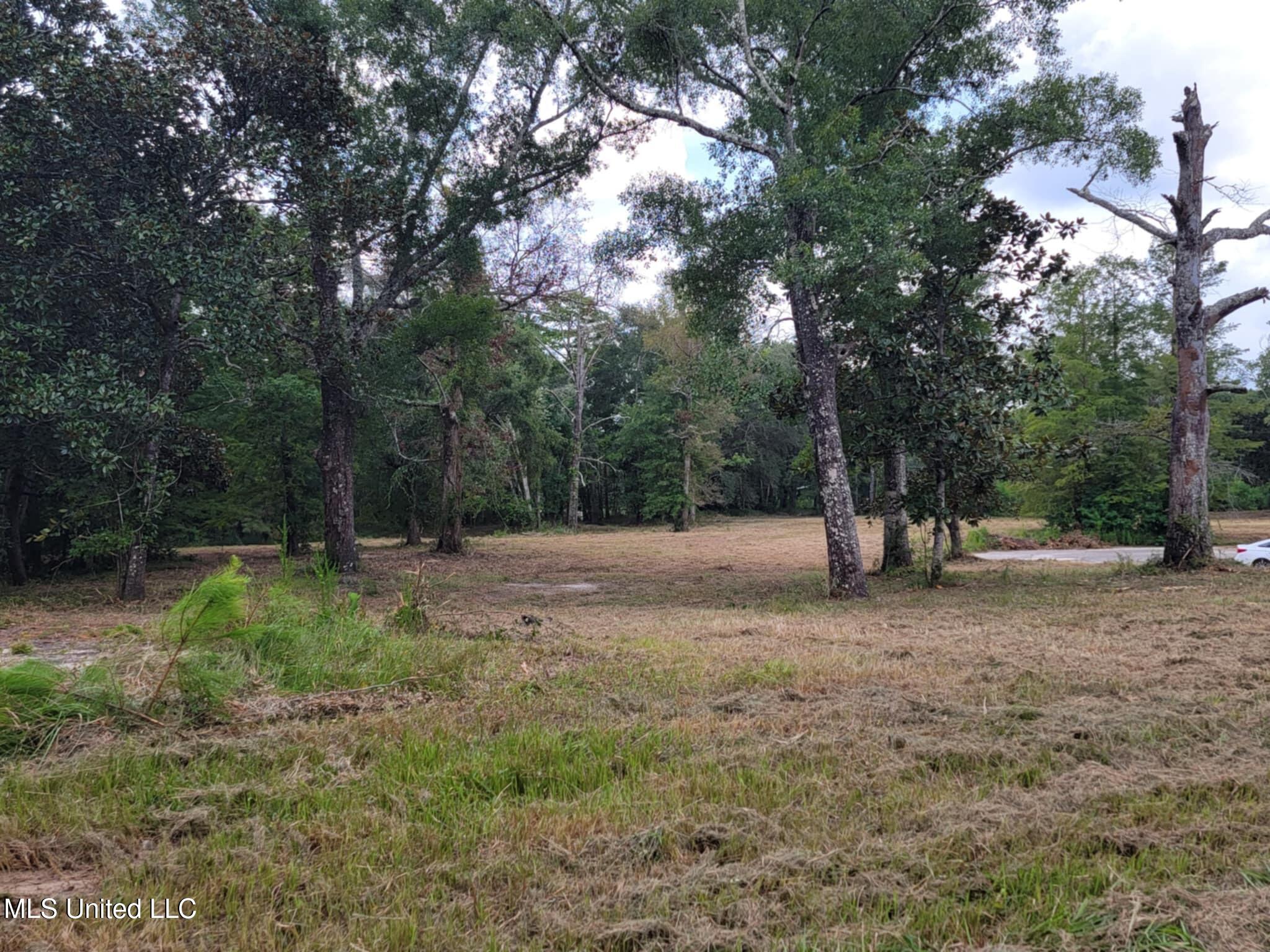 10550 Oneal Road Property Photo 9
